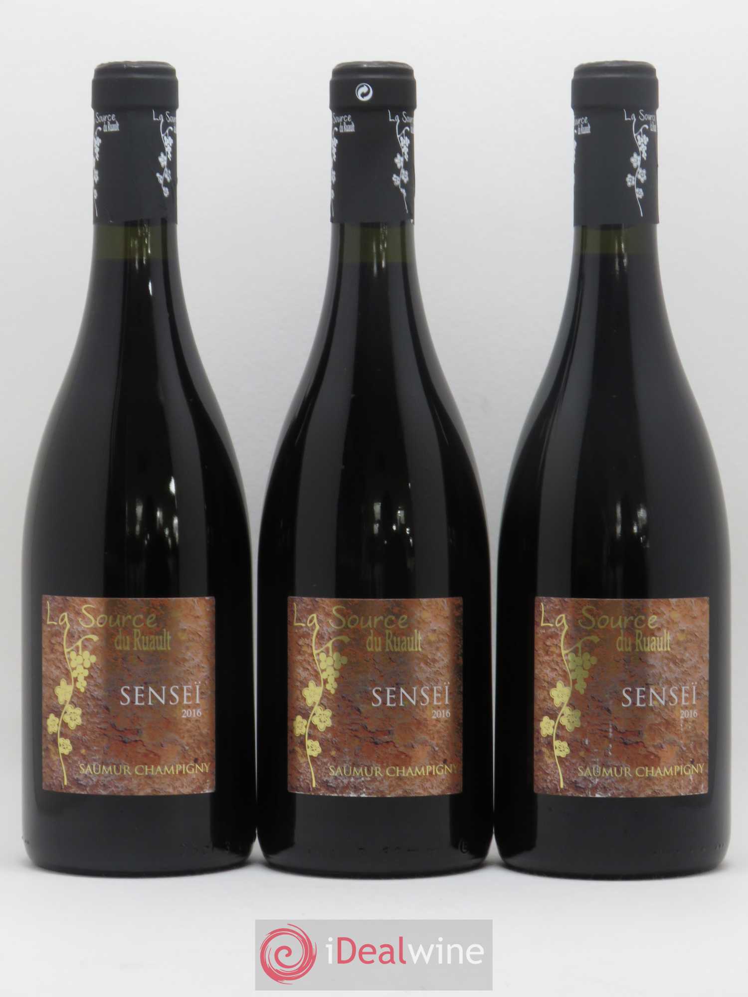 Saumur-Champigny Senseï La Source du Ruault (sans prix de réserve) 2016 - Posten von 3 Flaschen - 0