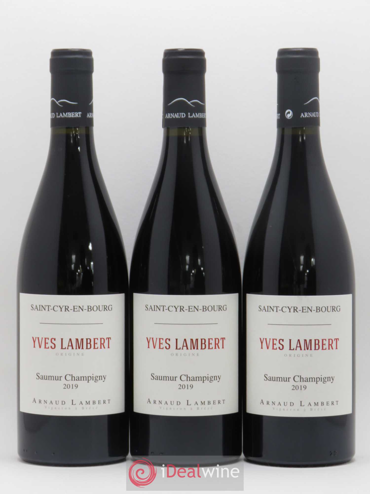 Saumur-Champigny Yves Lambert Domaine Arnaud Lambert 2019 - Lot de 3 bouteilles - 0