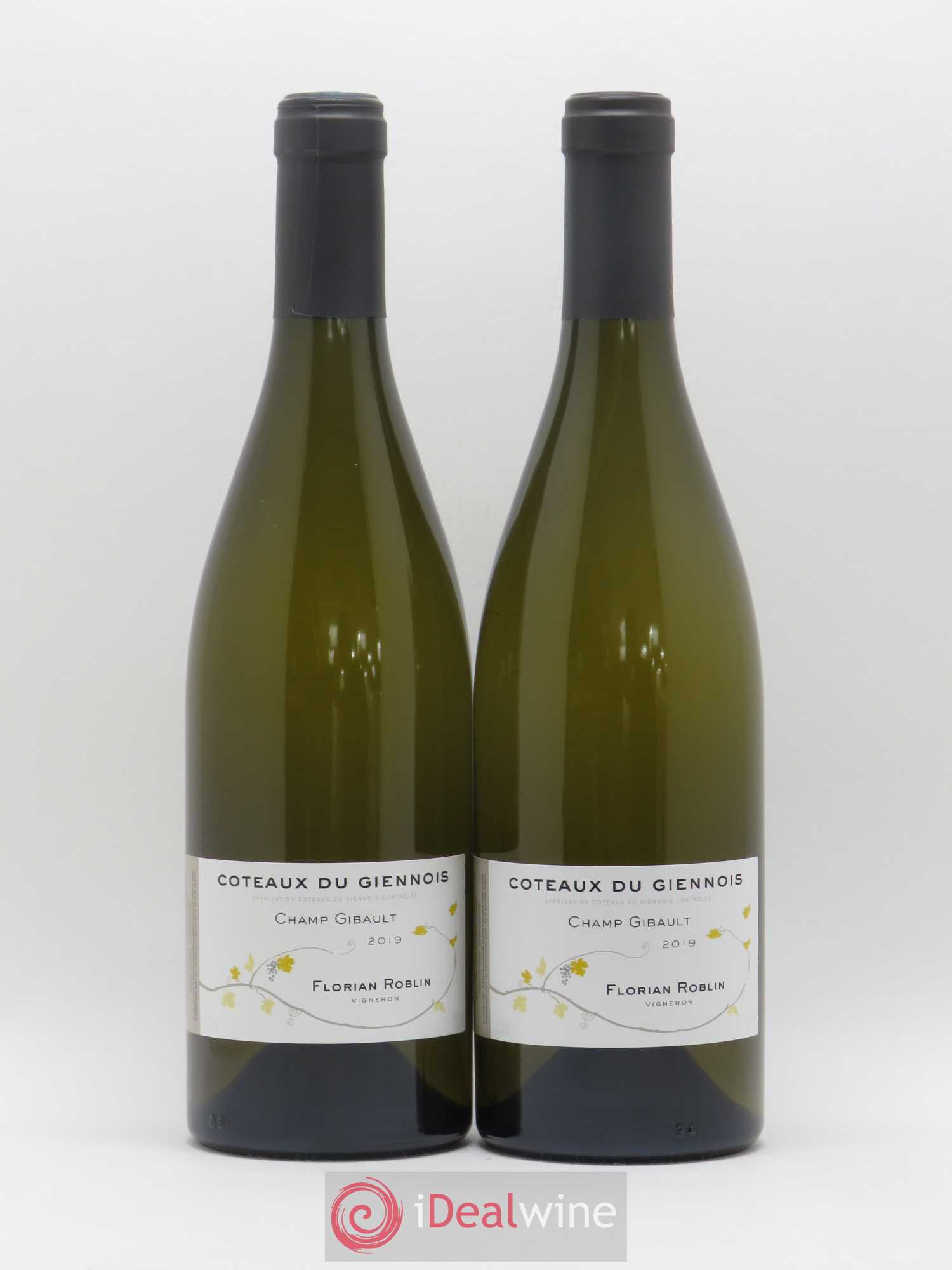Val de Loire Coteaux du Giennois Champ Gibault Florian Roblin (sans prix de réserve) 2019 - Posten von 2 Flaschen - 0