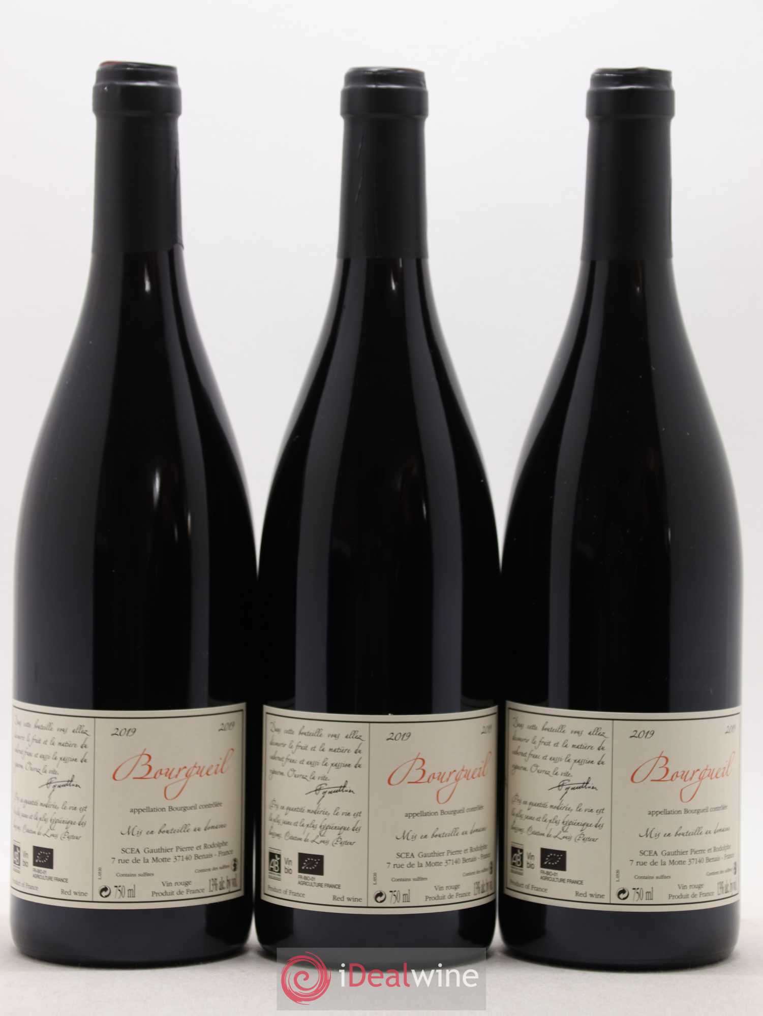 Bourgueil Jour de Soif Domaine du Bel Air  (sans prix de réserve) 2019 - Lot de 3 bouteilles - 1