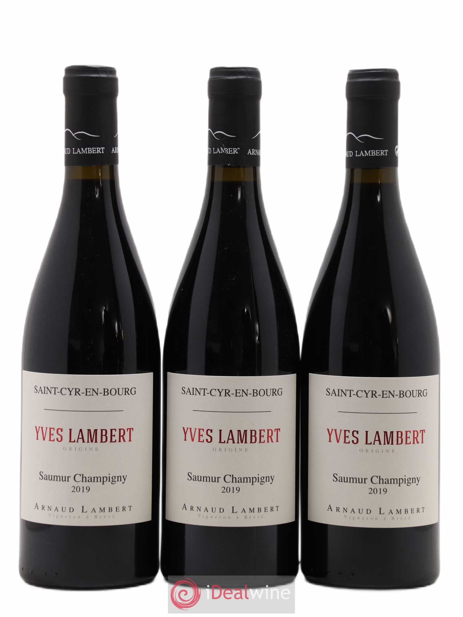 Saumur-Champigny Yves Lambert Domaine Arnaud Lambert 2019 - Lot de 3 bouteilles - 0