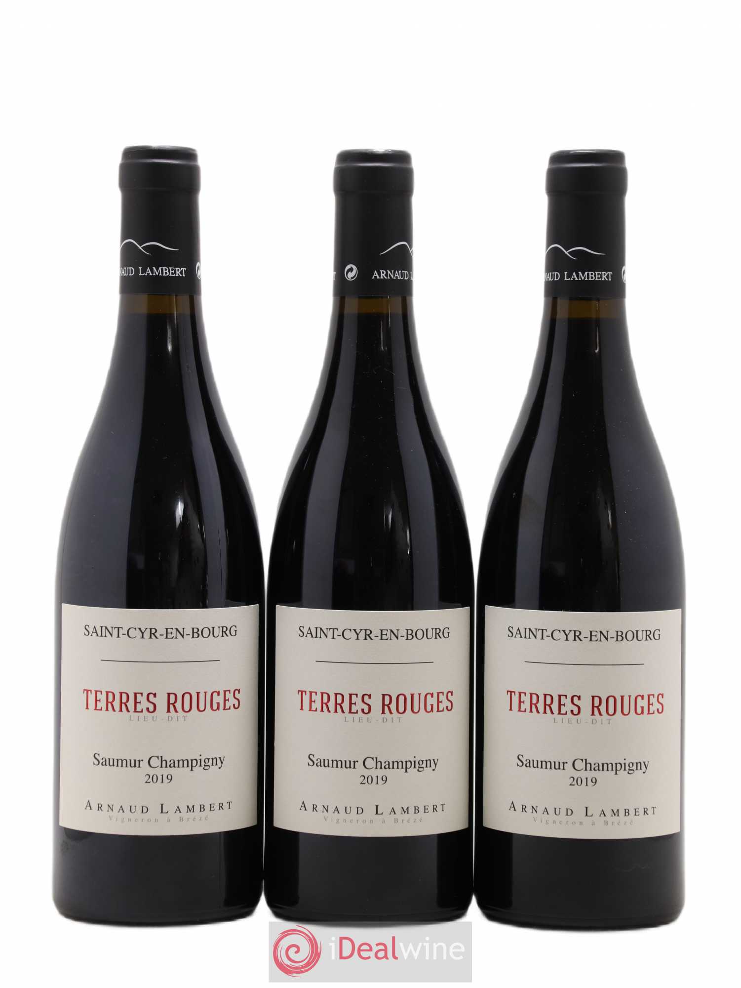 Saumur-Champigny Les Terres rouges Arnaud Lambert 2019 - Lot de 3 bouteilles - 0