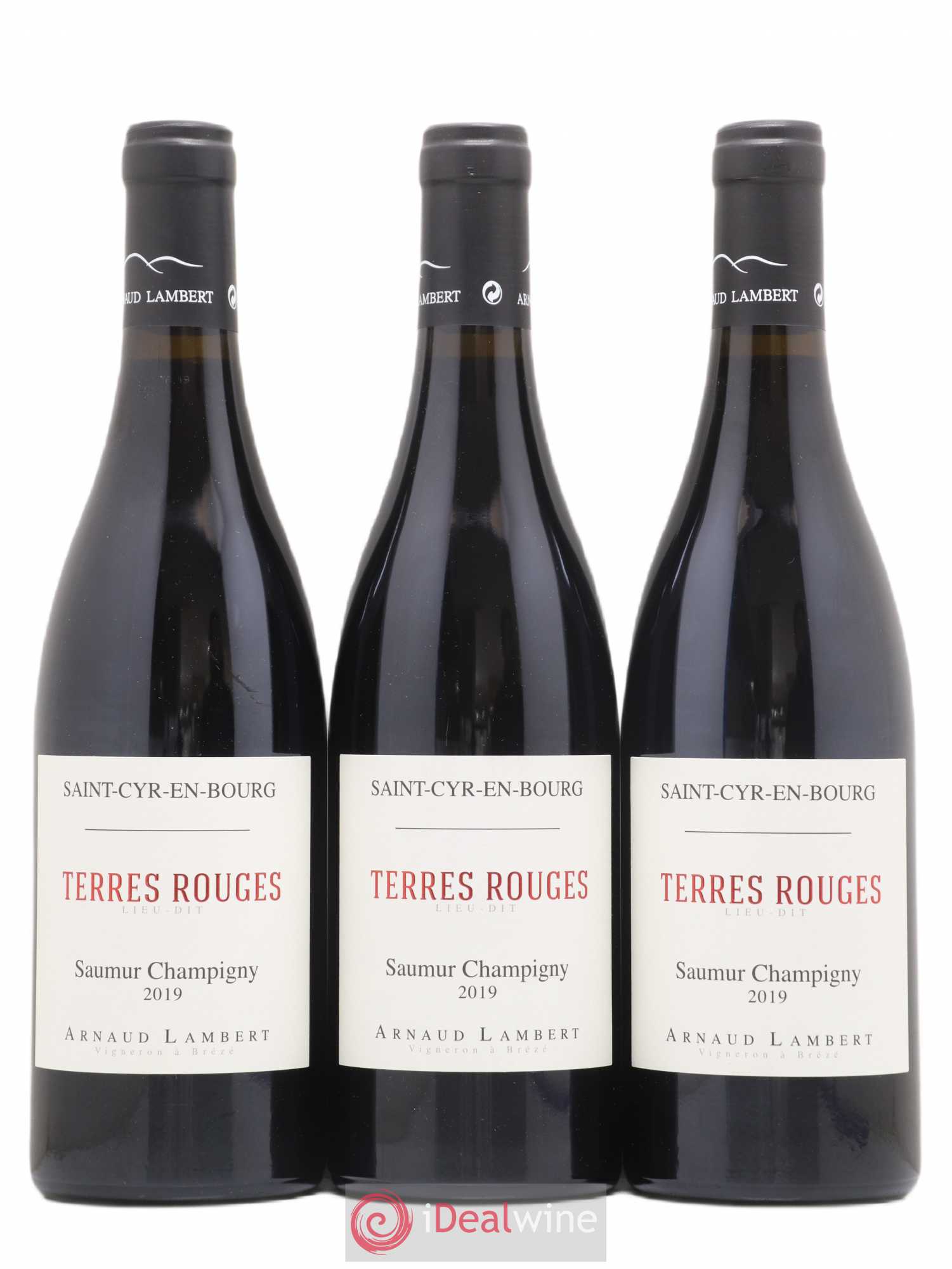 Saumur-Champigny Les Terres rouges Arnaud Lambert 2019 - Lot de 3 bouteilles - 0