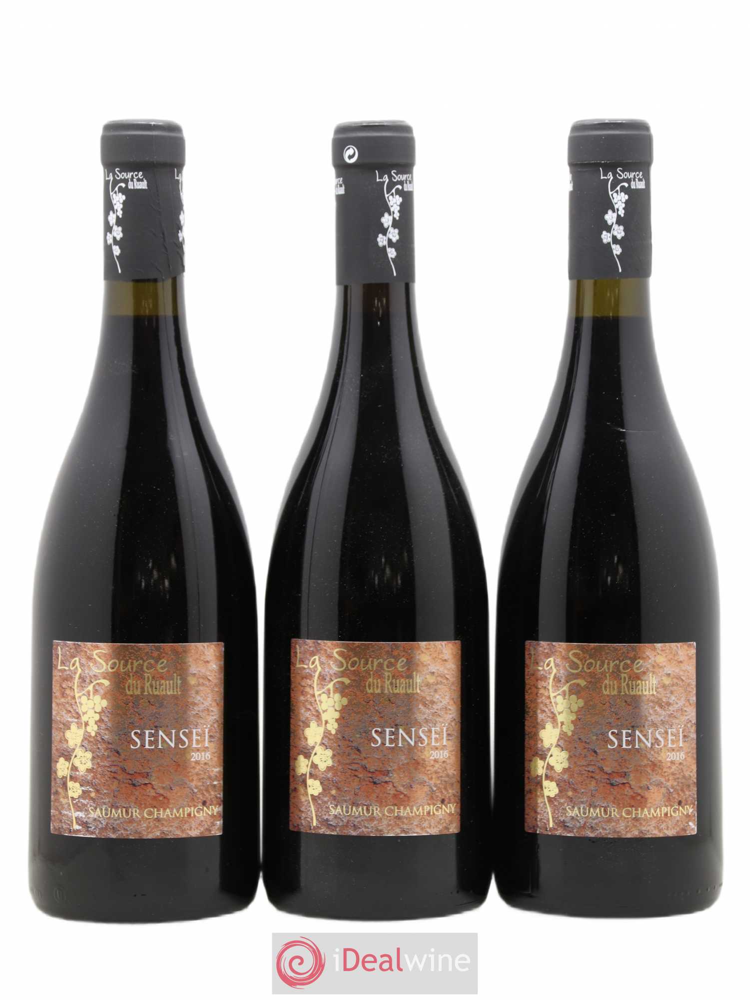 Saumur-Champigny Sensei La Source du Ruault (sans prix de réserve) 2016 - Posten von 3 Flaschen - 0