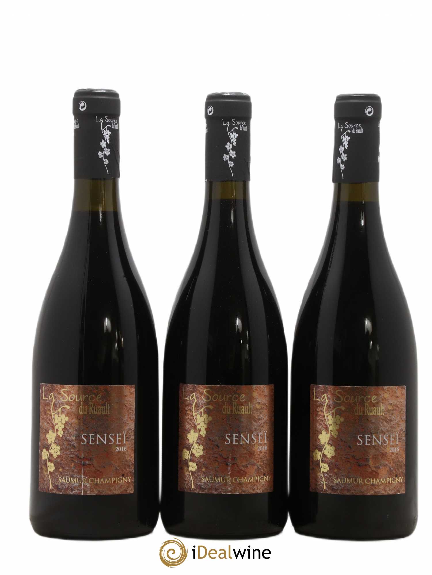 Saumur-Champigny La Source Du Ruault Senseï (sans prix de réserve) 2016 - Posten von 3 Flaschen - 0