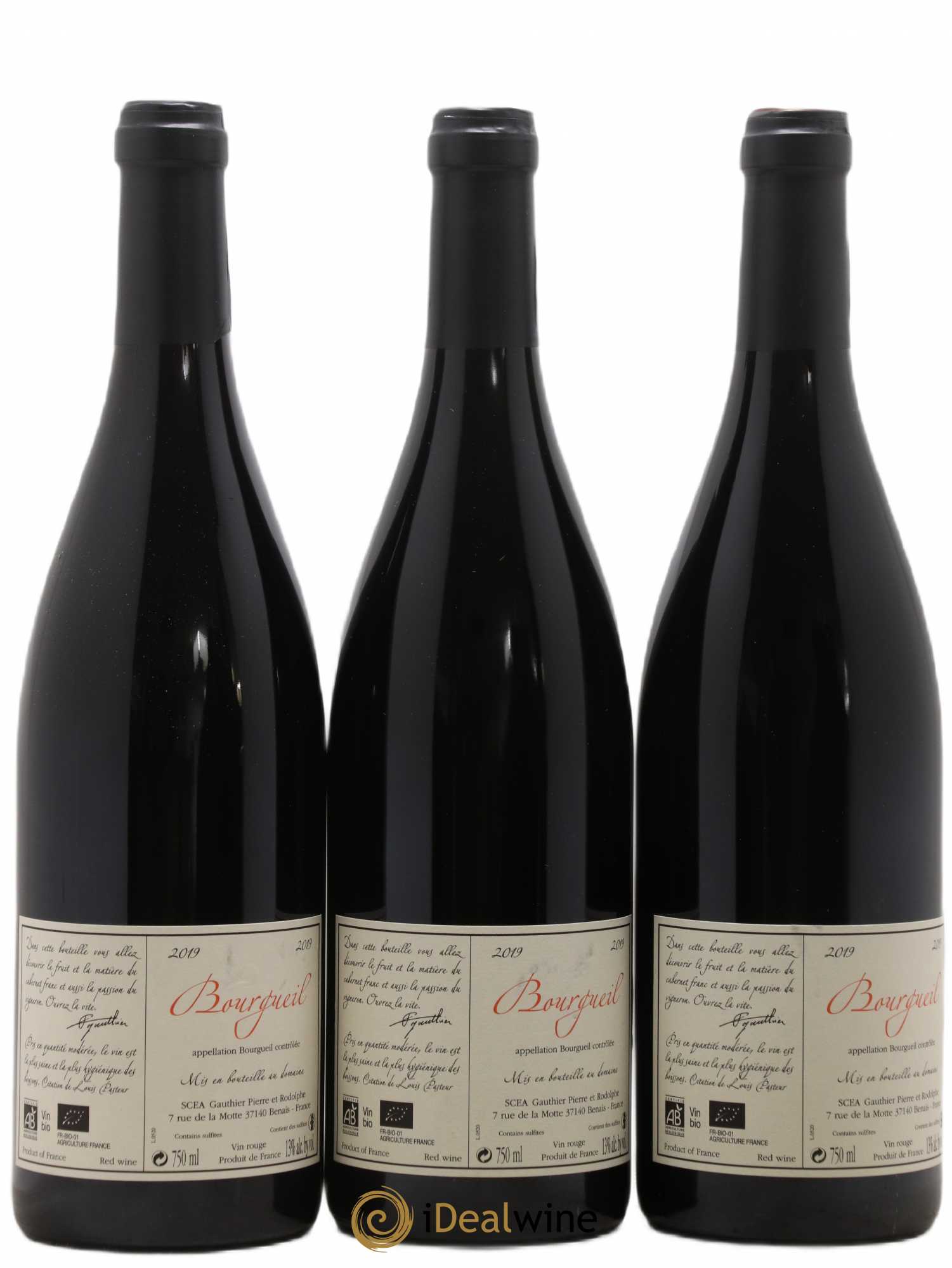 Bourgueil Jour de Soif Domaine du Bel Air  (sans prix de réserve) 2019 - Lot de 3 bouteilles - 1