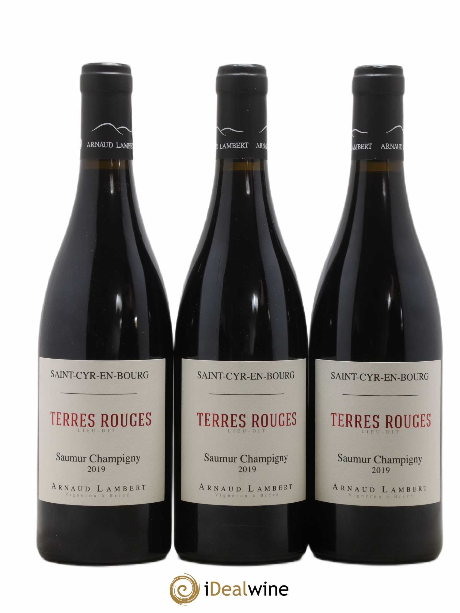 Saumur-Champigny Les Terres rouges Arnaud Lambert 2019 - Lot de 3 bouteilles - 0