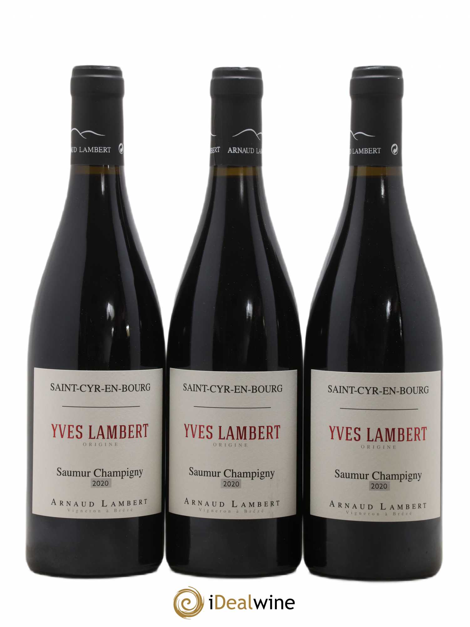 Saumur-Champigny Yves Lambert Domaine Arnaud Lambert (sans prix de réserve) 2020 - Lot de 3 bouteilles - 0