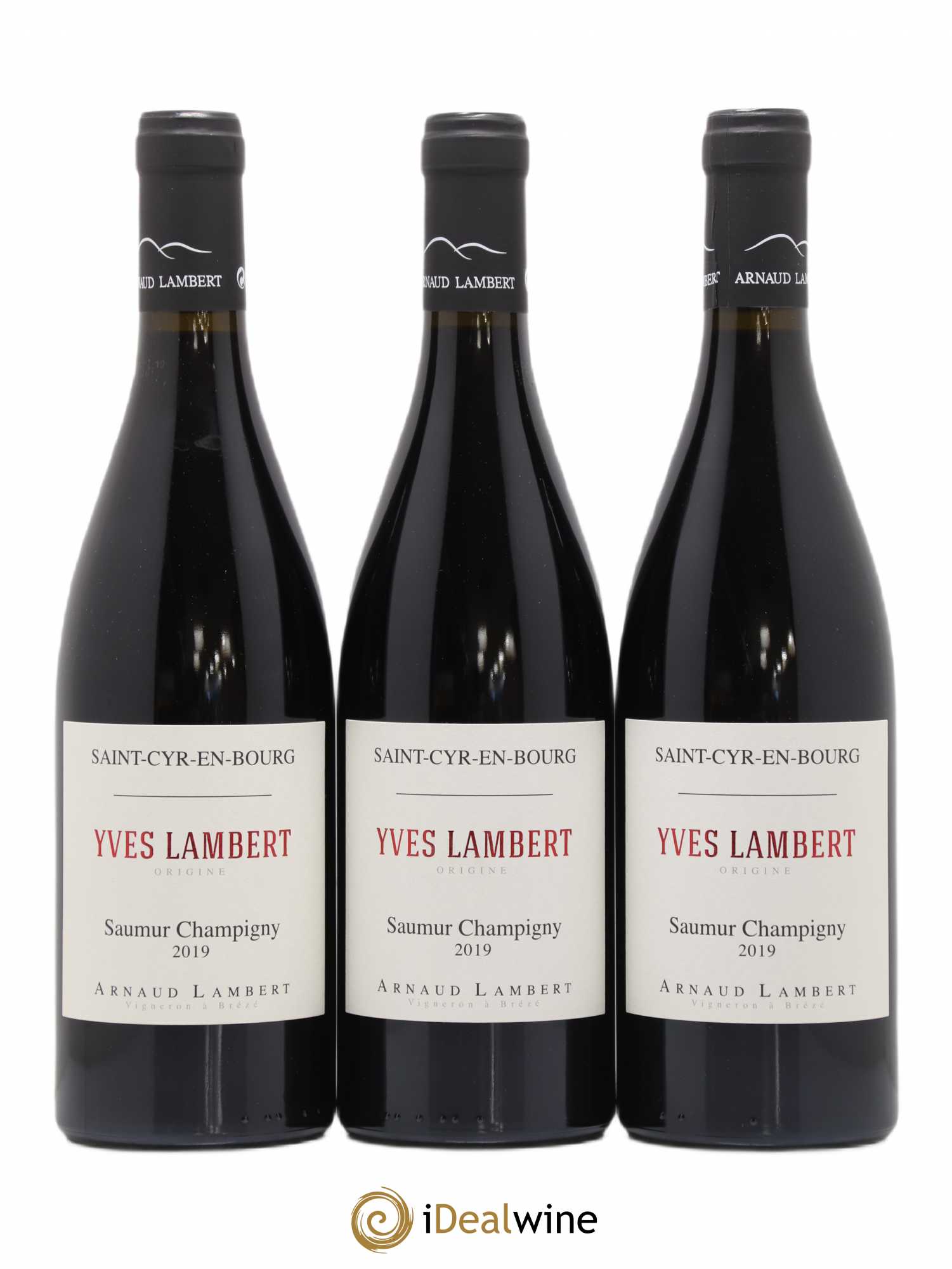 Saumur-Champigny Yves Lambert Domaine Arnaud Lambert (sans prix de réserve) 2019 - Lot de 3 bouteilles - 0