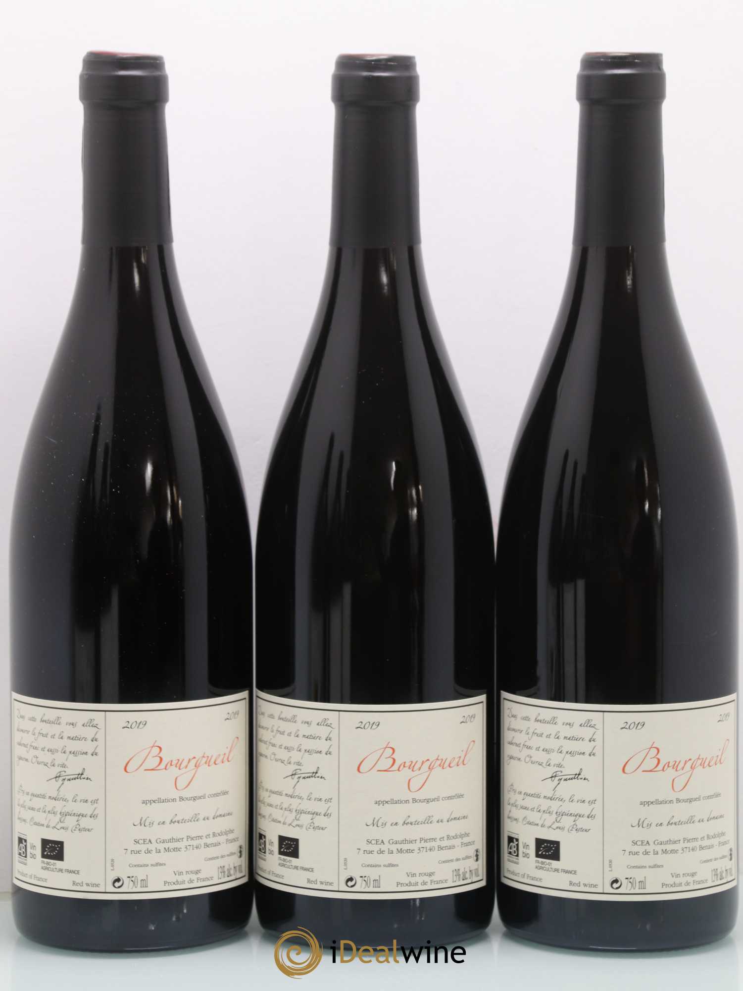 Bourgueil Jour de Soif Domaine du Bel Air (sans prix de réserve) 2019 - Lot de 3 bouteilles - 1