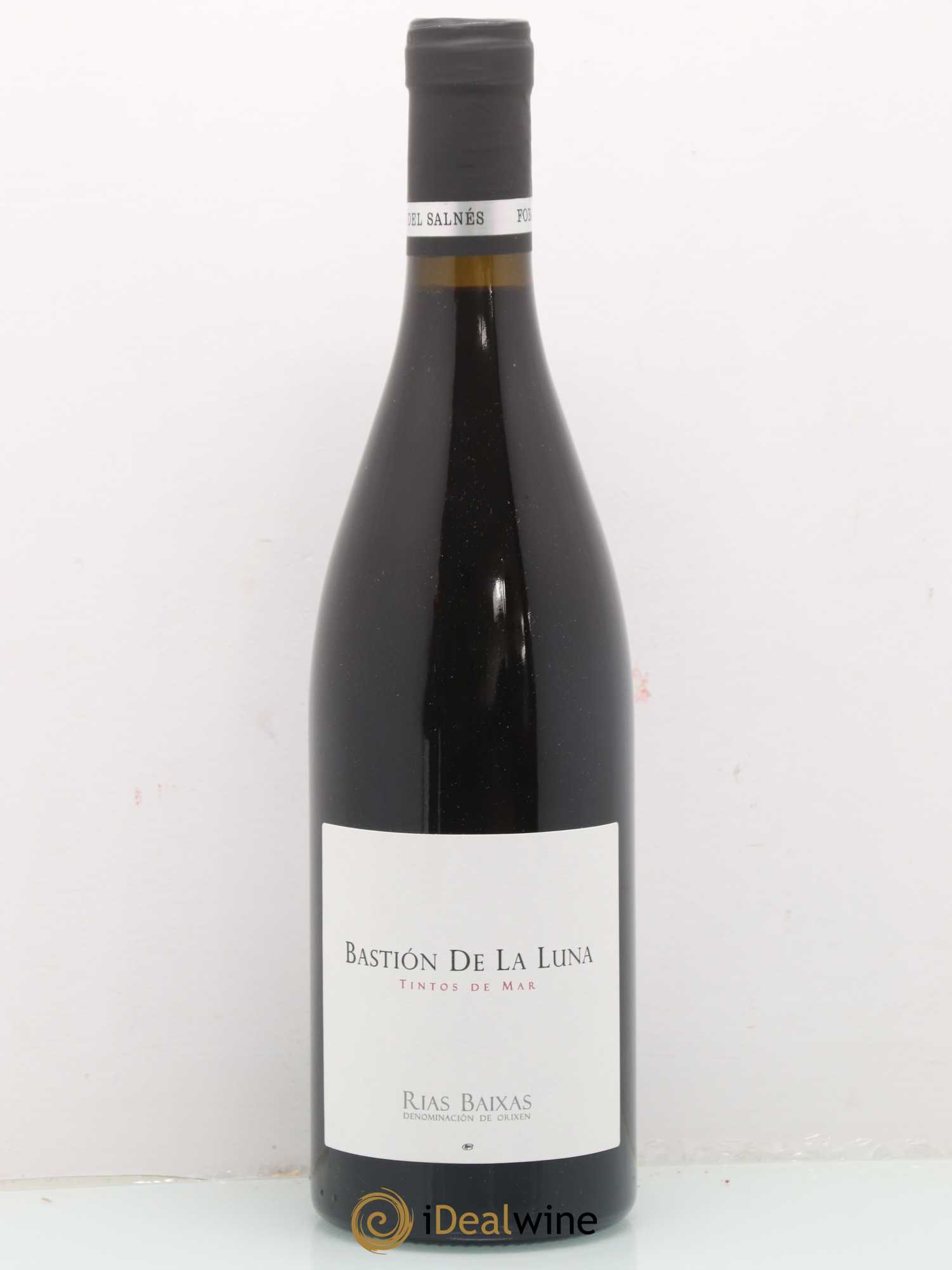 Espagne Rias Baixas Bastion de la Luna Forjas del Salnes 2015 - Posten von 1 Flasche - 0