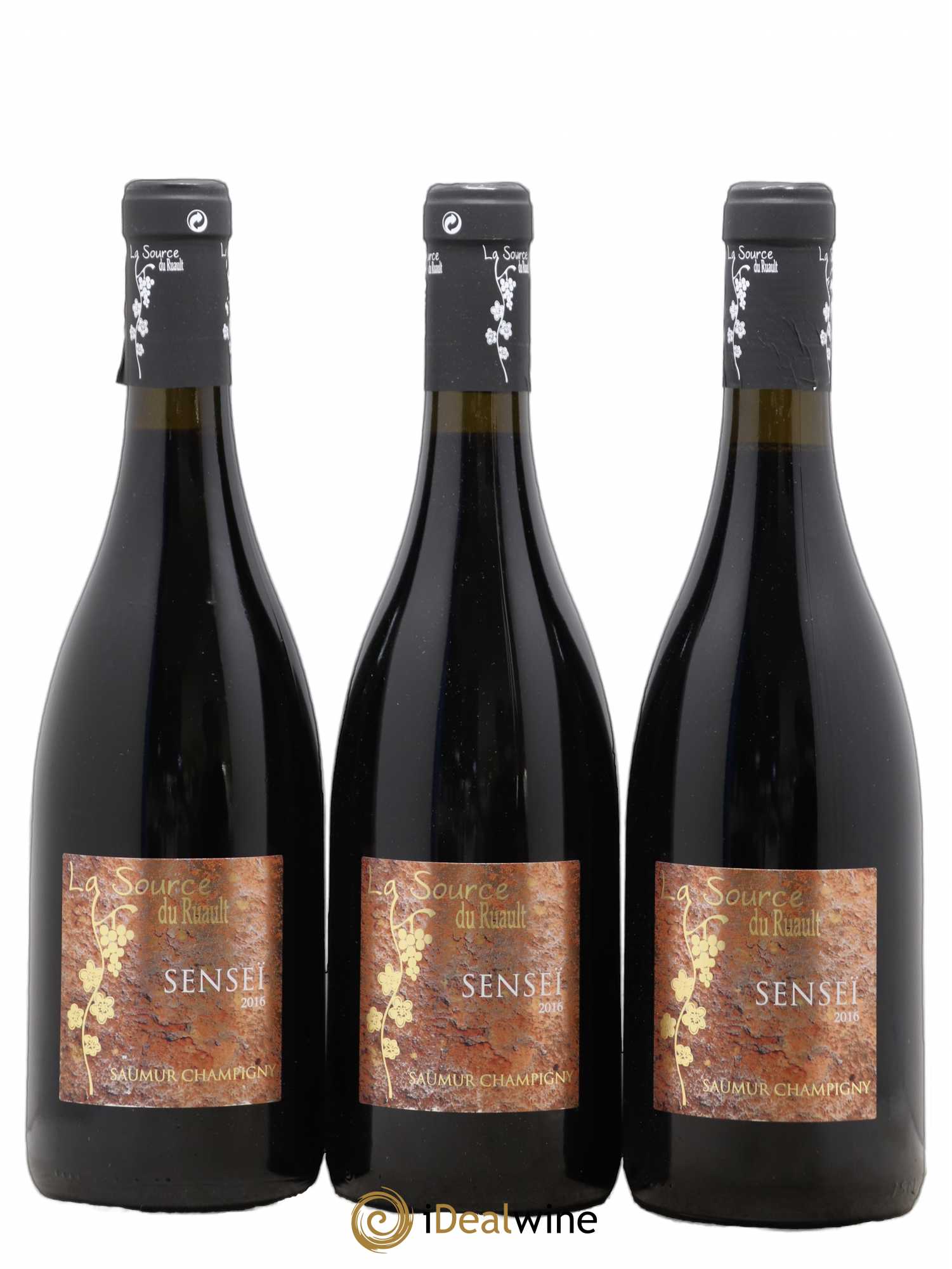 Saumur-Champigny La Source Du Ruault Senseï (sans prix de réserve) 2016 - Posten von 3 Flaschen - 0