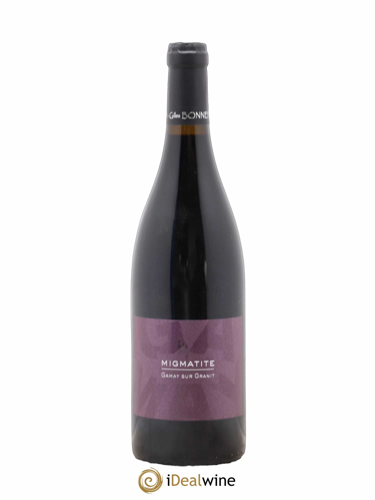 Rhône Côtes du Forez Les Vins de la Madone Migmatite 2020 - Posten von 1 Flasche - 0
