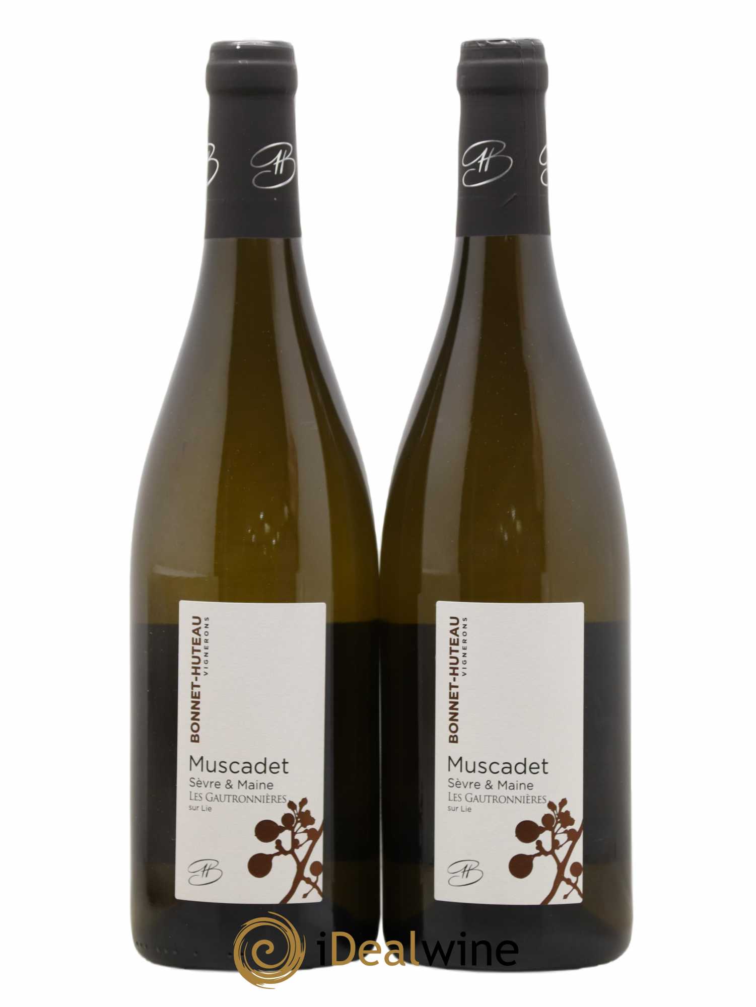 Muscadet-Sèvre-et-Maine sur lie Les Gautronnières Bonnet-Huteau (sans prix de réserve) 2020 - Lot de 2 bouteilles - 0