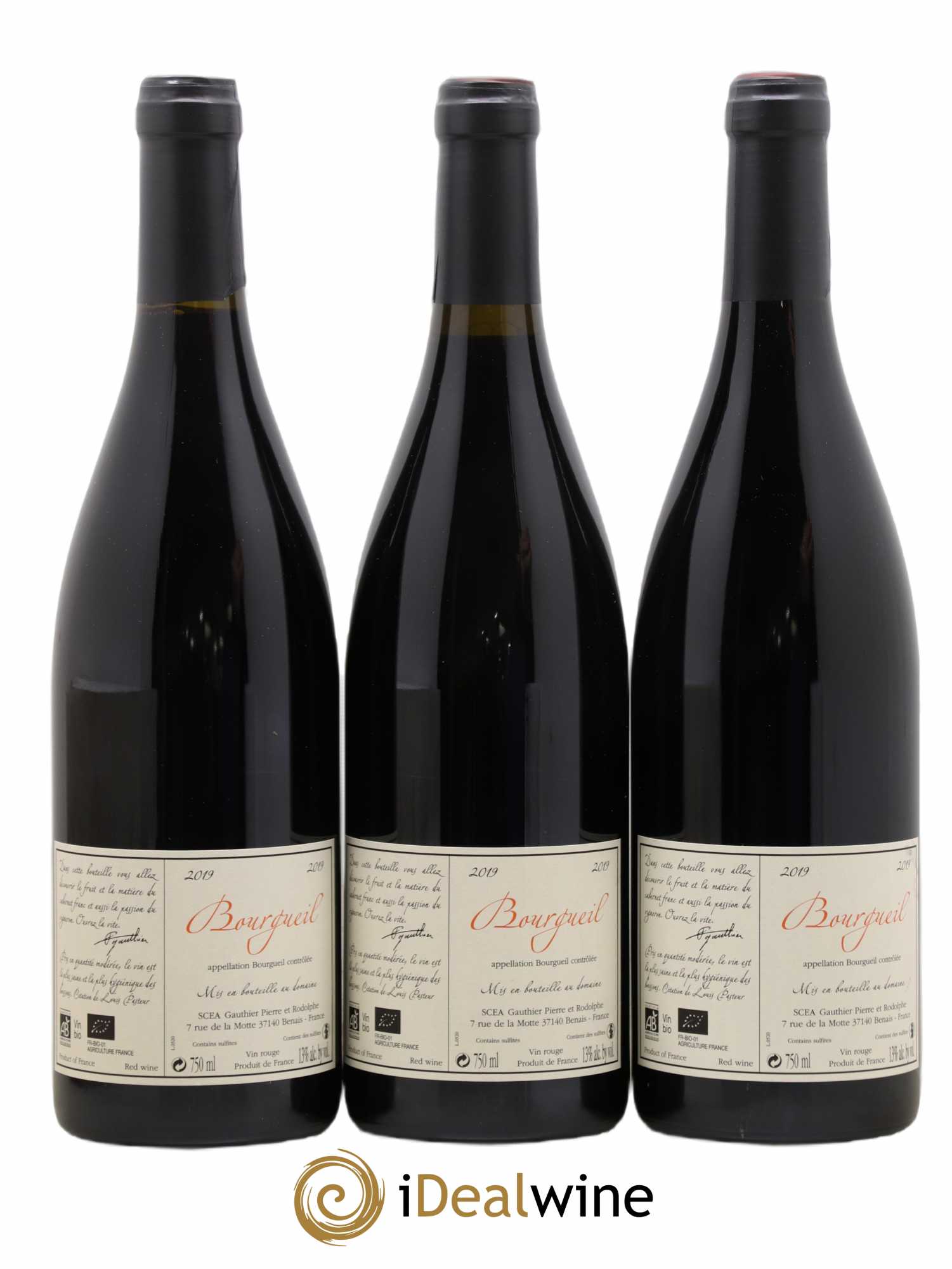 Bourgueil Jour de Soif Domaine du Bel Air  (sans prix de réserve) 2019 - Lot de 3 bouteilles - 1