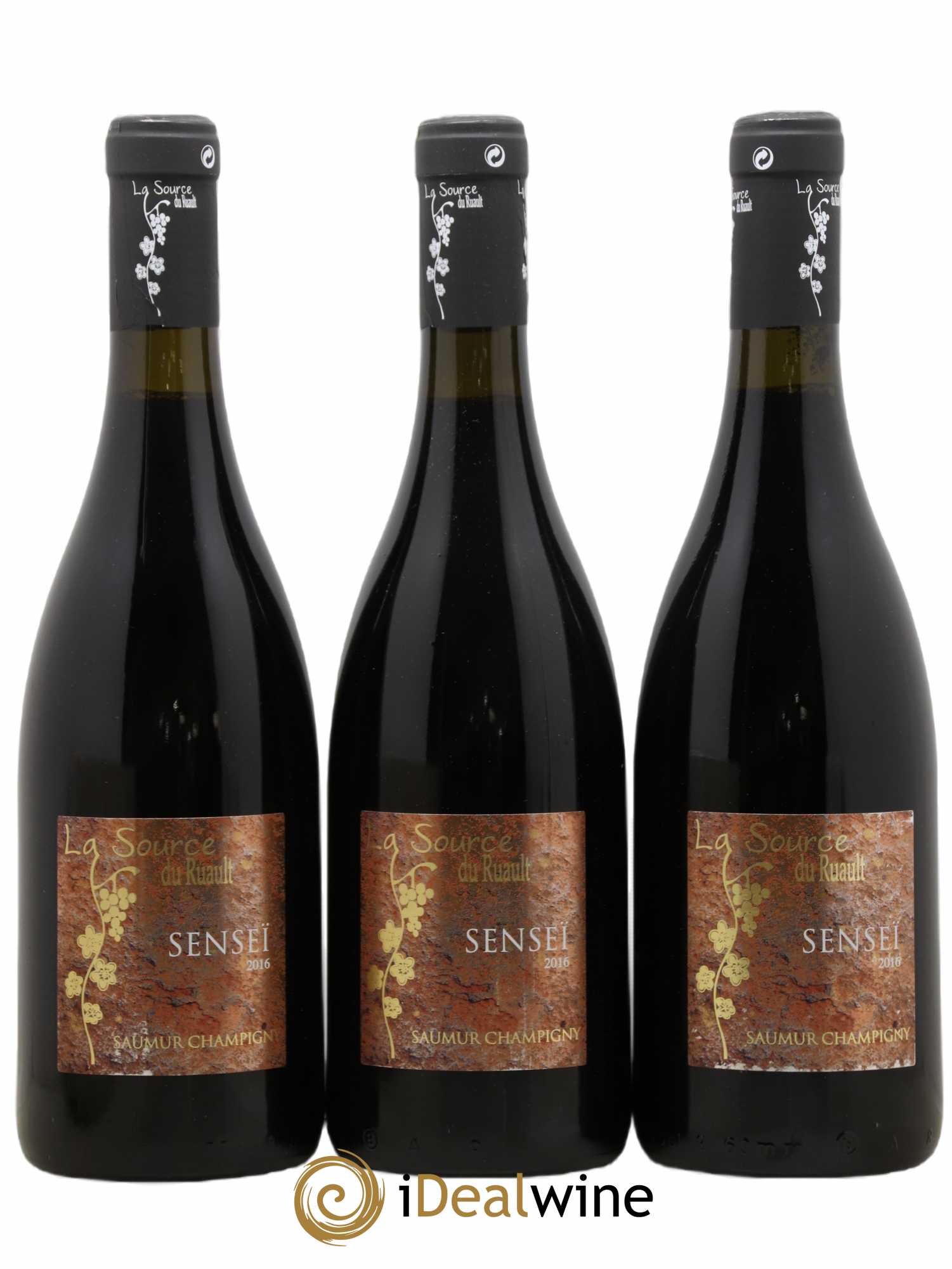 Saumur-Champigny La Source Du Ruault Senseï (sans prix de réserve) 2016 - Posten von 3 Flaschen - 0