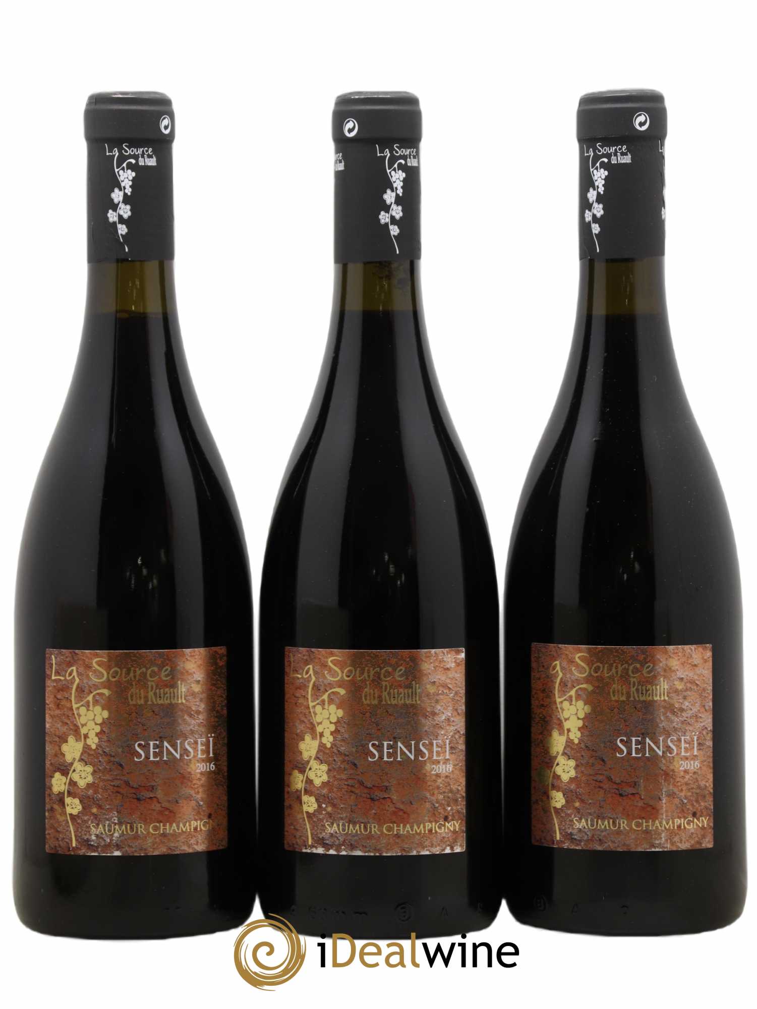 Saumur-Champigny La Source Du Ruault Senseï (sans prix de réserve) 2016 - Posten von 3 Flaschen - 0