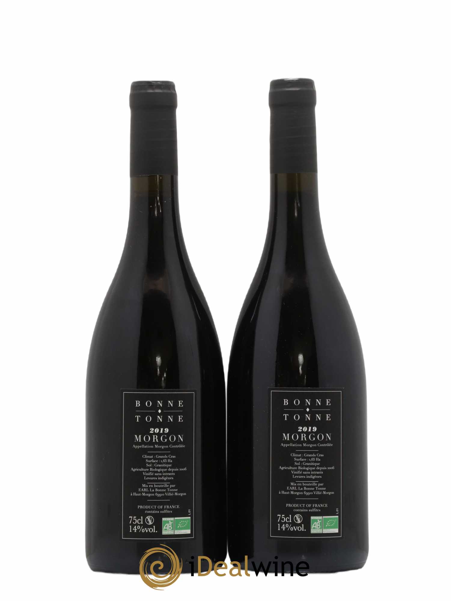 Morgon Grands Cras Domaine de la Bonne Tonne 2019 - Posten von 2 Flaschen - 1