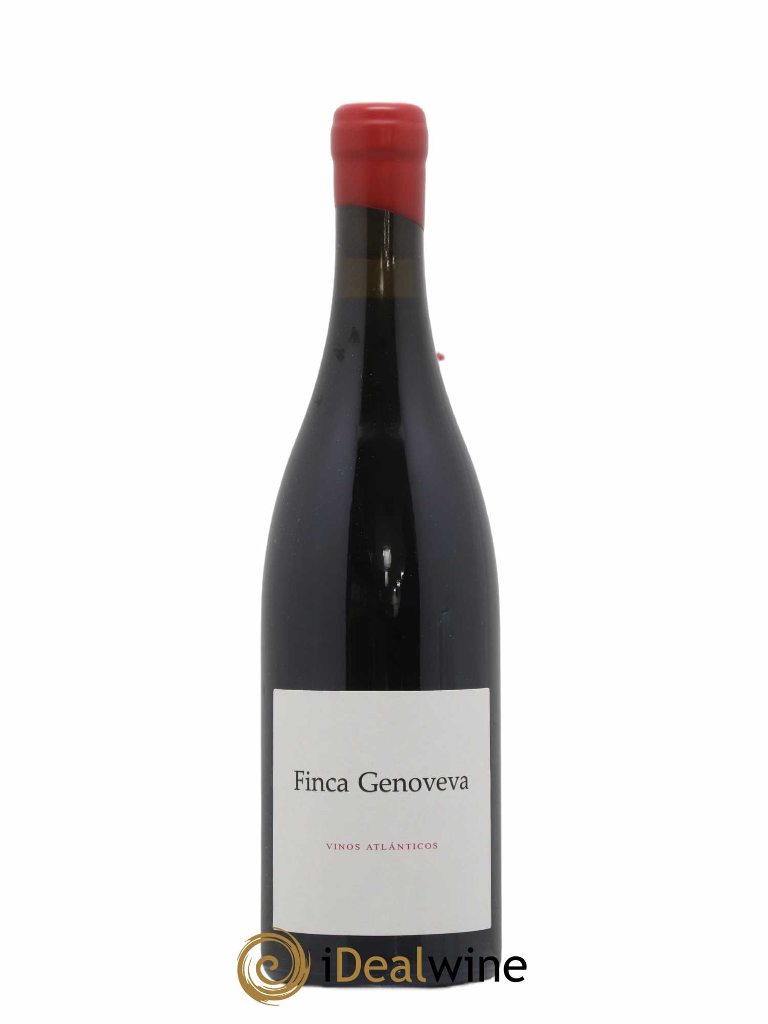 Espagne Forjas del Salnés Rias Baixas Finca Genoveva Caiño Tinto (sans prix de réserve) 2018 - Posten von 1 Flasche - 0