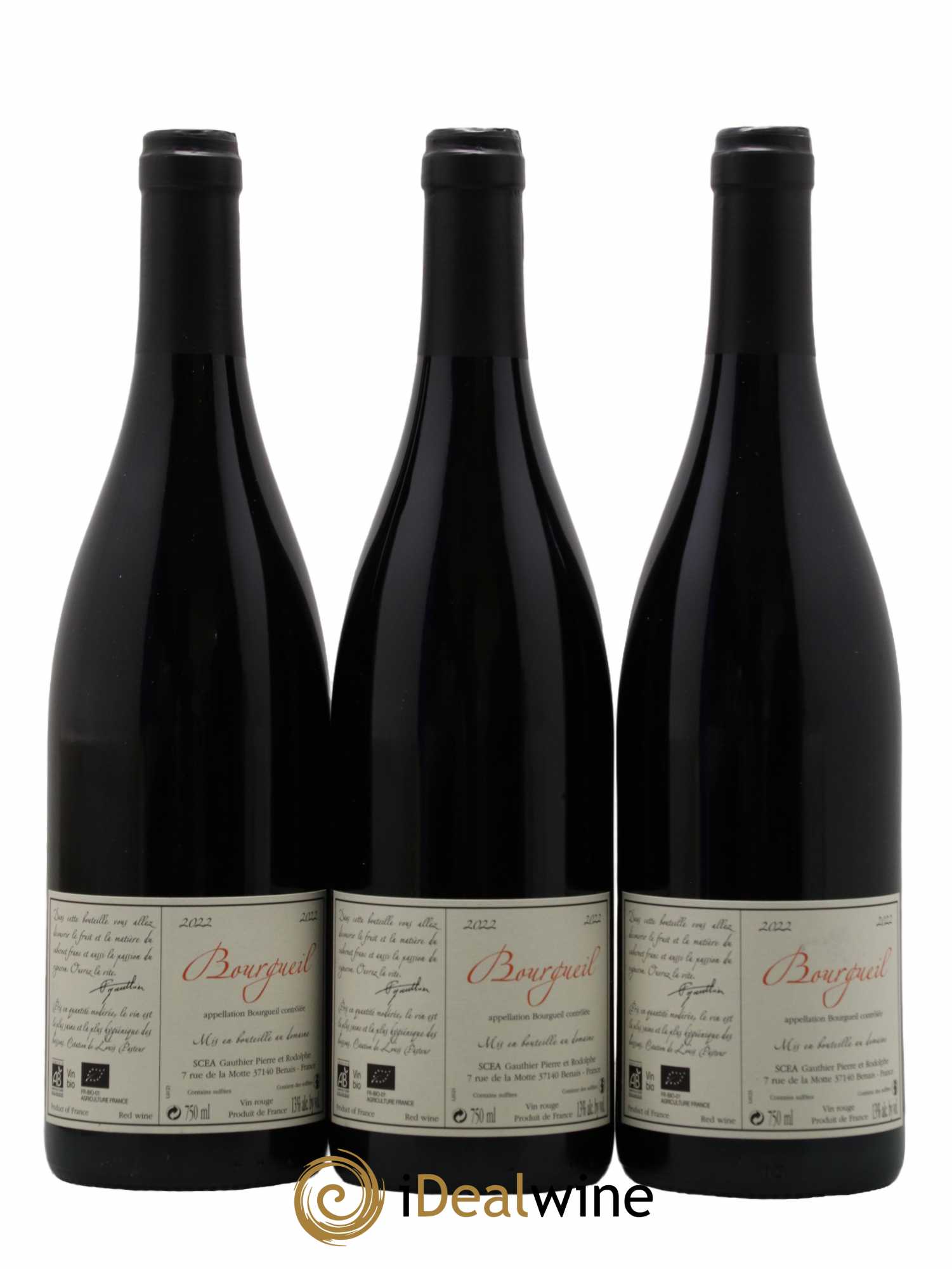 Bourgueil Jour de Soif Domaine du Bel Air 2022 - Lot de 3 bouteilles - 1