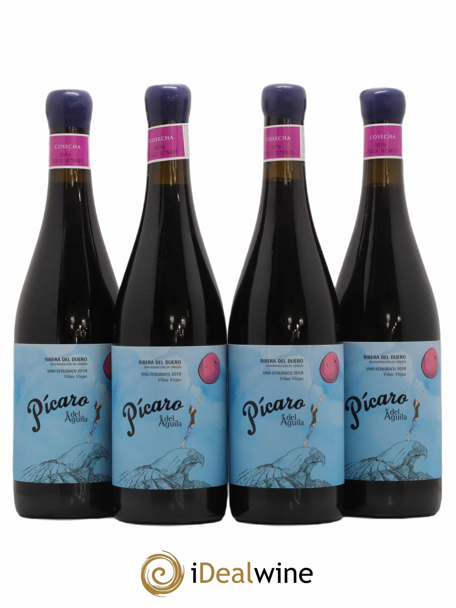 Ribera Del Duero DO Picaro Del Aguila Vinas Viejas Dominio Del Aguila 2019 - Posten von 4 Flaschen - 0