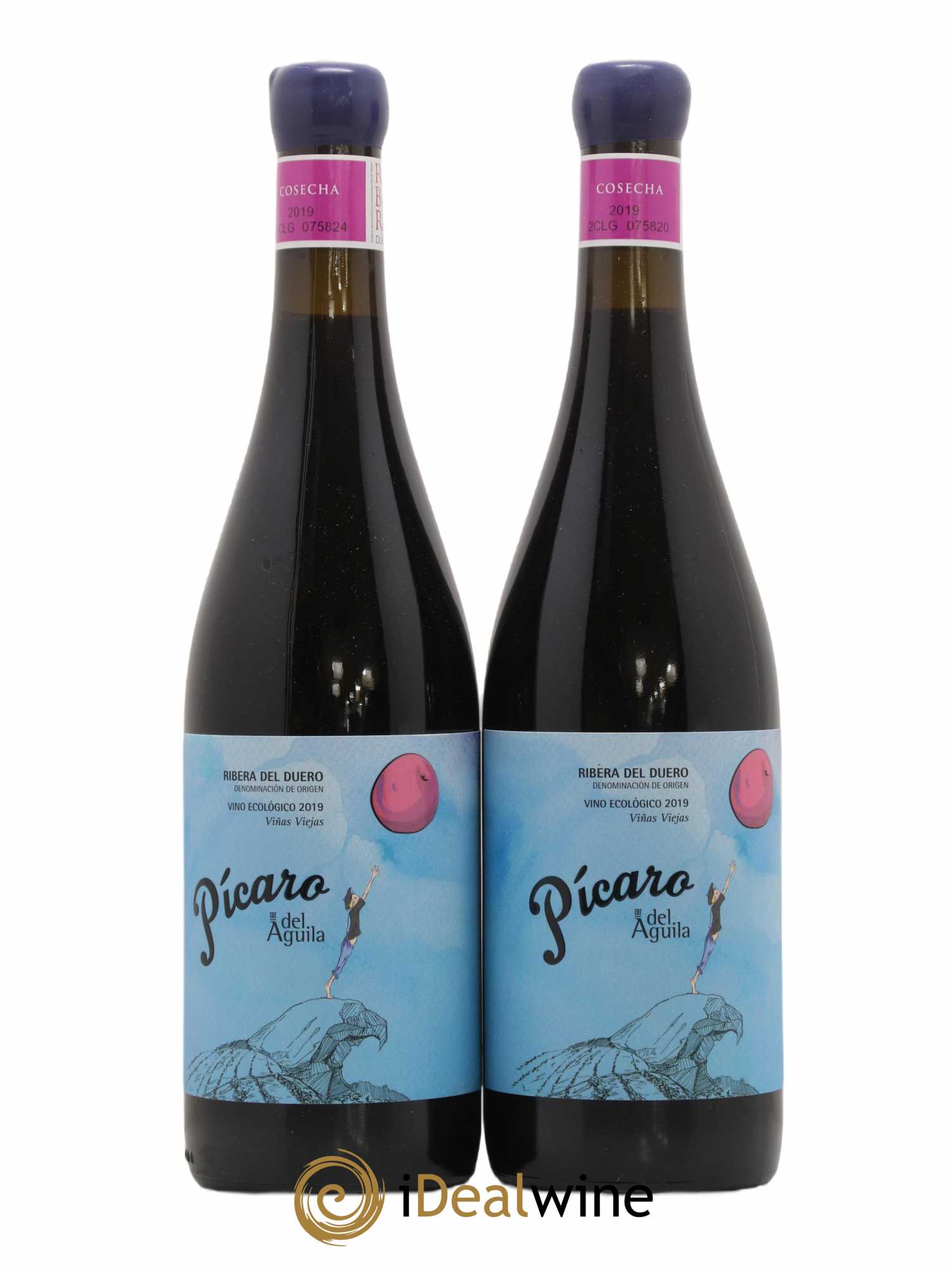 Ribera Del Duero DO Picaro Del Aguila Vinas Viejas Dominio Del Aguila 2019 - Posten von 2 Flaschen - 0