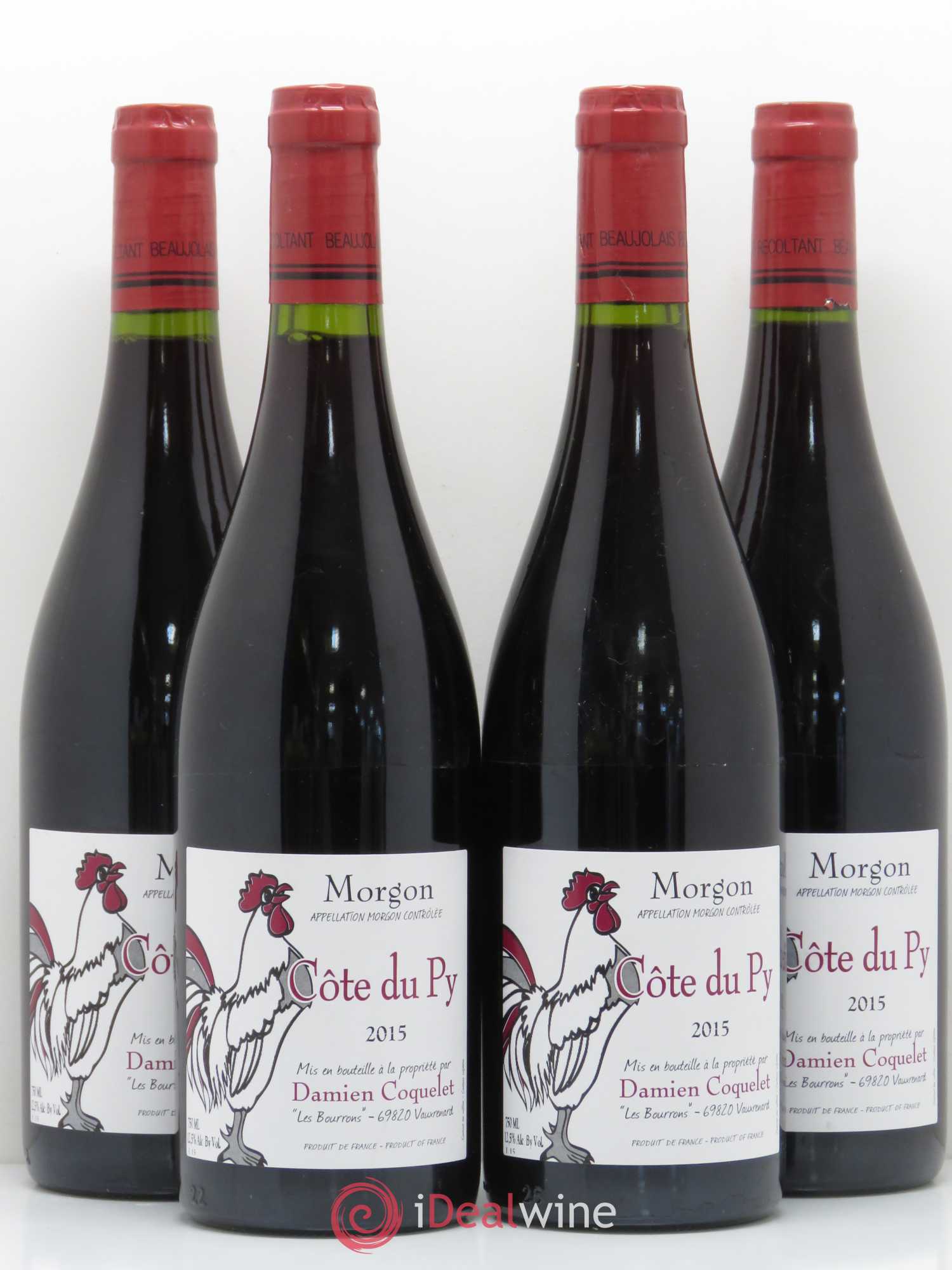 Morgon Côte du Py Damien Coquelet 2015 - Lot de 4 bouteilles - 0