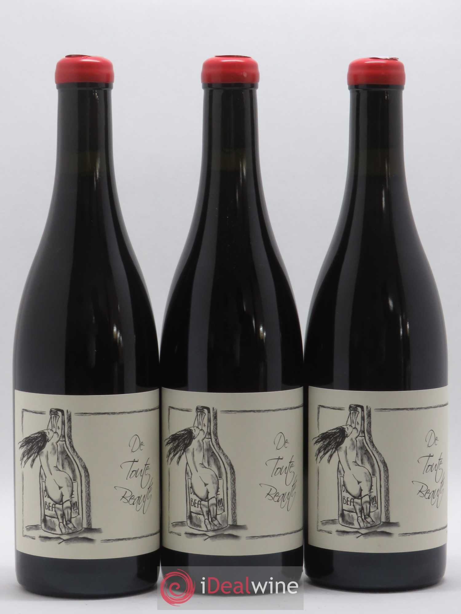 Vin de France De Toute Beauté Ganevat (Domaine) (sans prix de réserve) 2018 - Lot de 3 bouteilles - 0