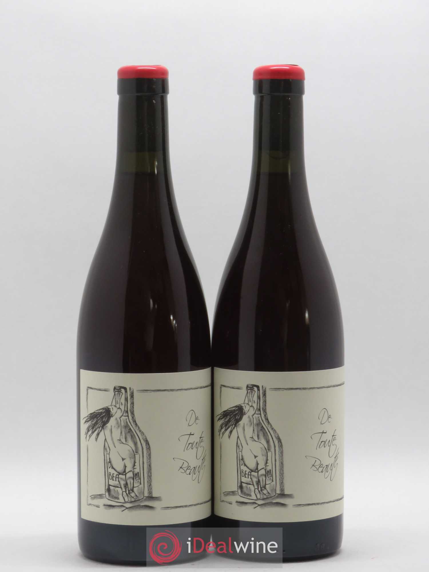 Vin de France De Toute Beauté Ganevat (Domaine) (sans prix de réserve) 2019 - Lot de 2 bouteilles - 0