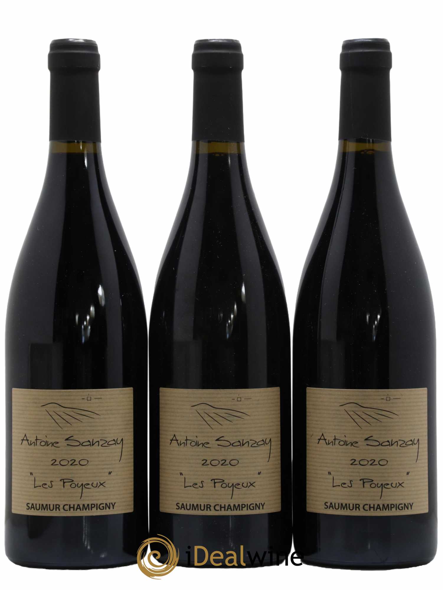 Saumur-Champigny Les Poyeux Antoine Sanzay 2020 - Lot de 3 bouteilles - 0
