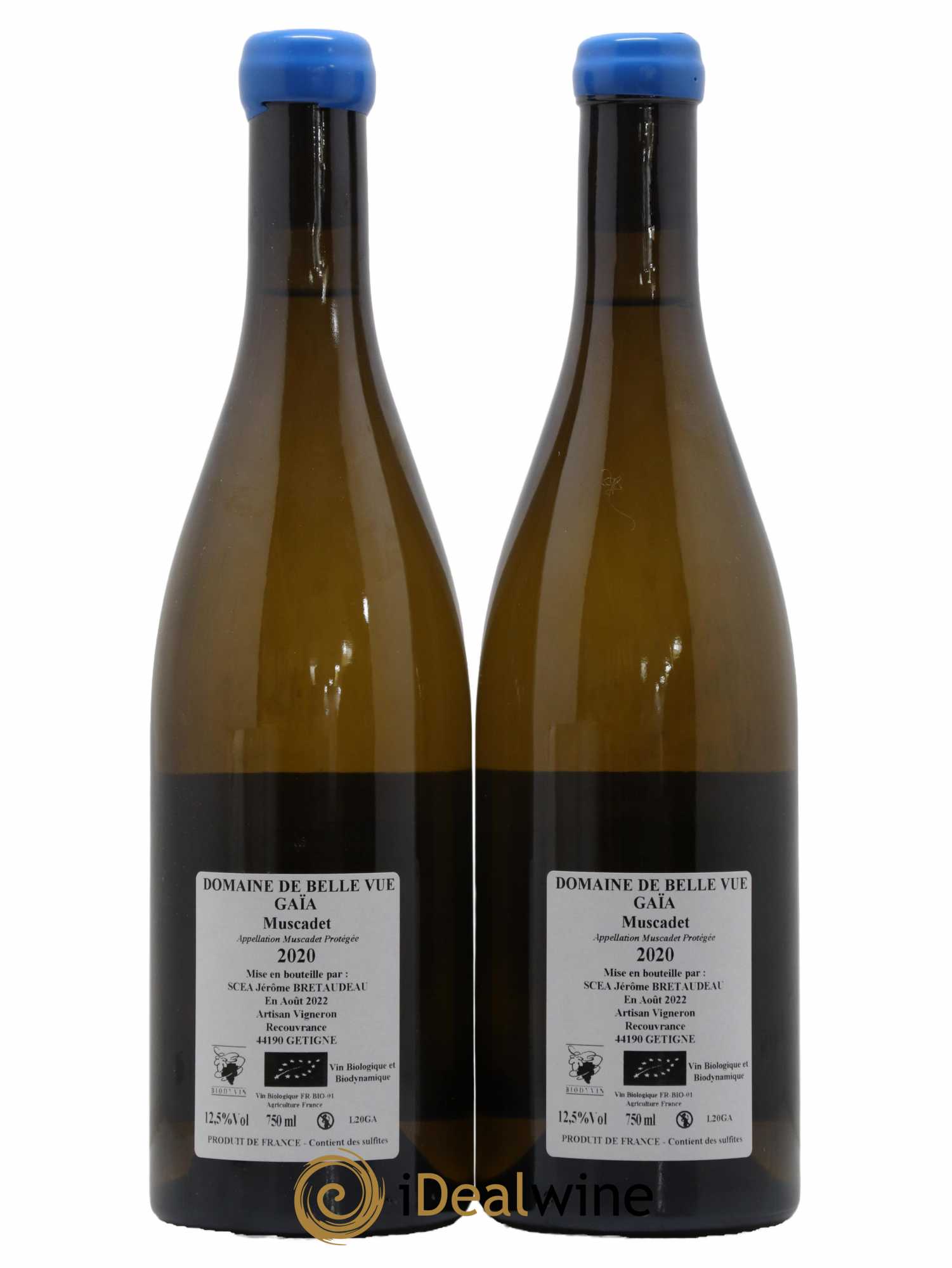 Muscadet-Sèvre-et-Maine Gaia Jérôme Bretaudeau - Domaine de Bellevue 2020 - Lot de 2 bouteilles - 1