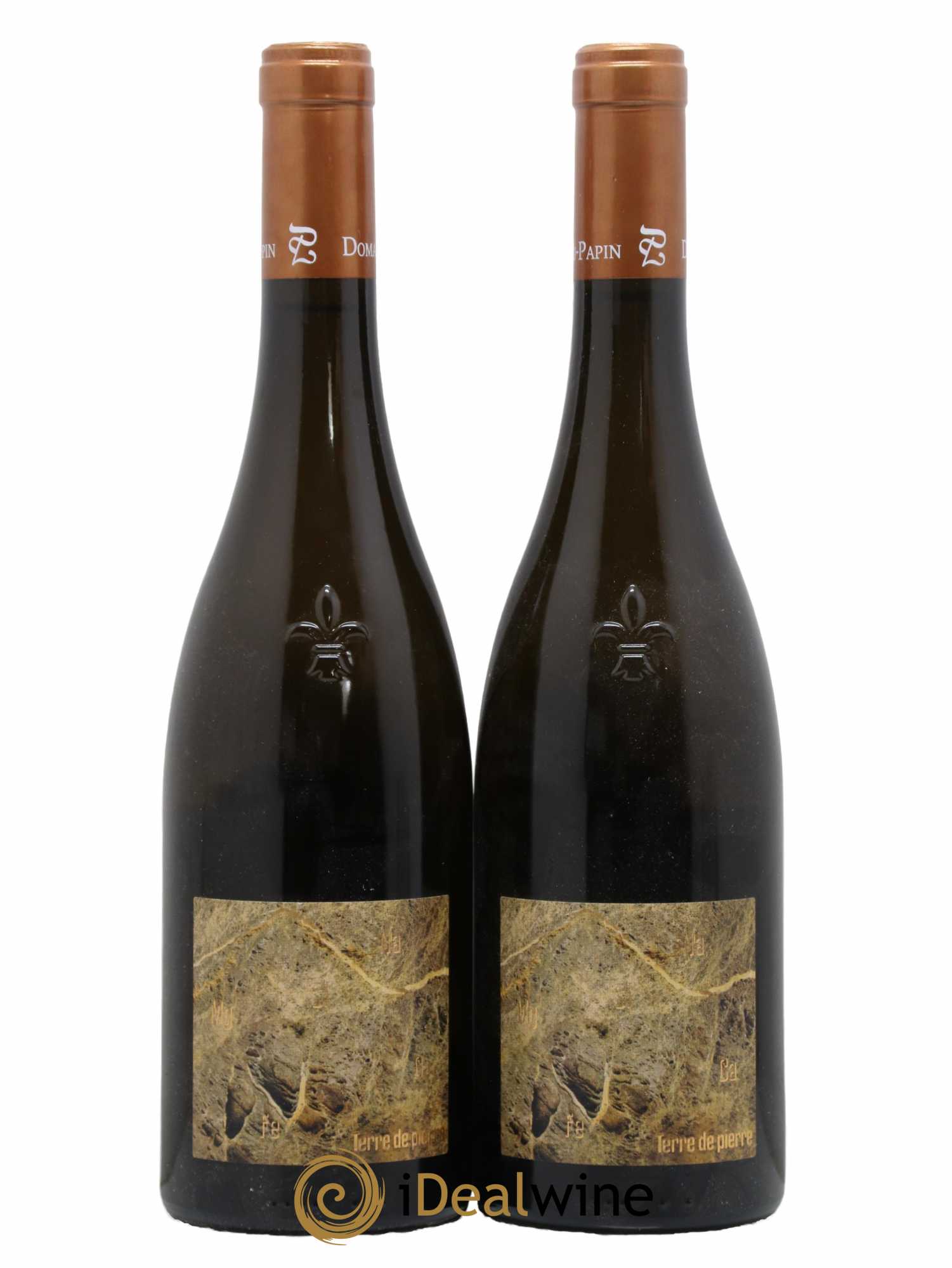 Muscadet-Sèvre-et-Maine sur lie Terre de Pierre Luneau-Papin 2015 - Lot de 2 bouteilles - 0