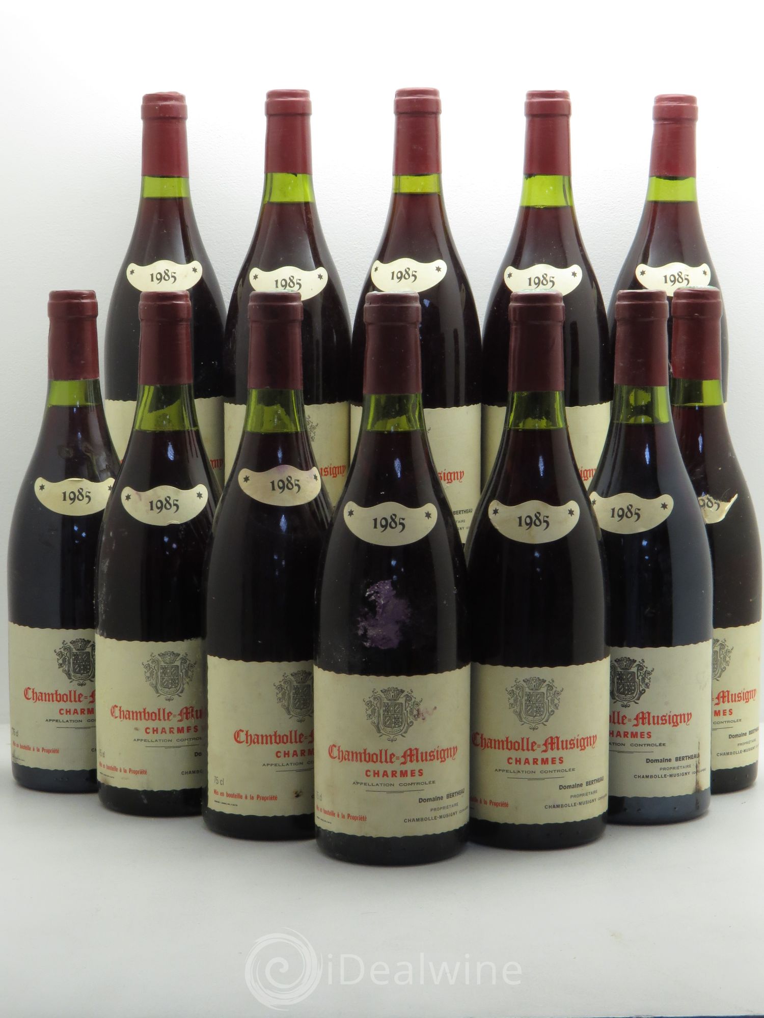 Chambolle-Musigny 1er Cru Domaine Bertheau 1985 - Posten von 12 Flaschen - 0