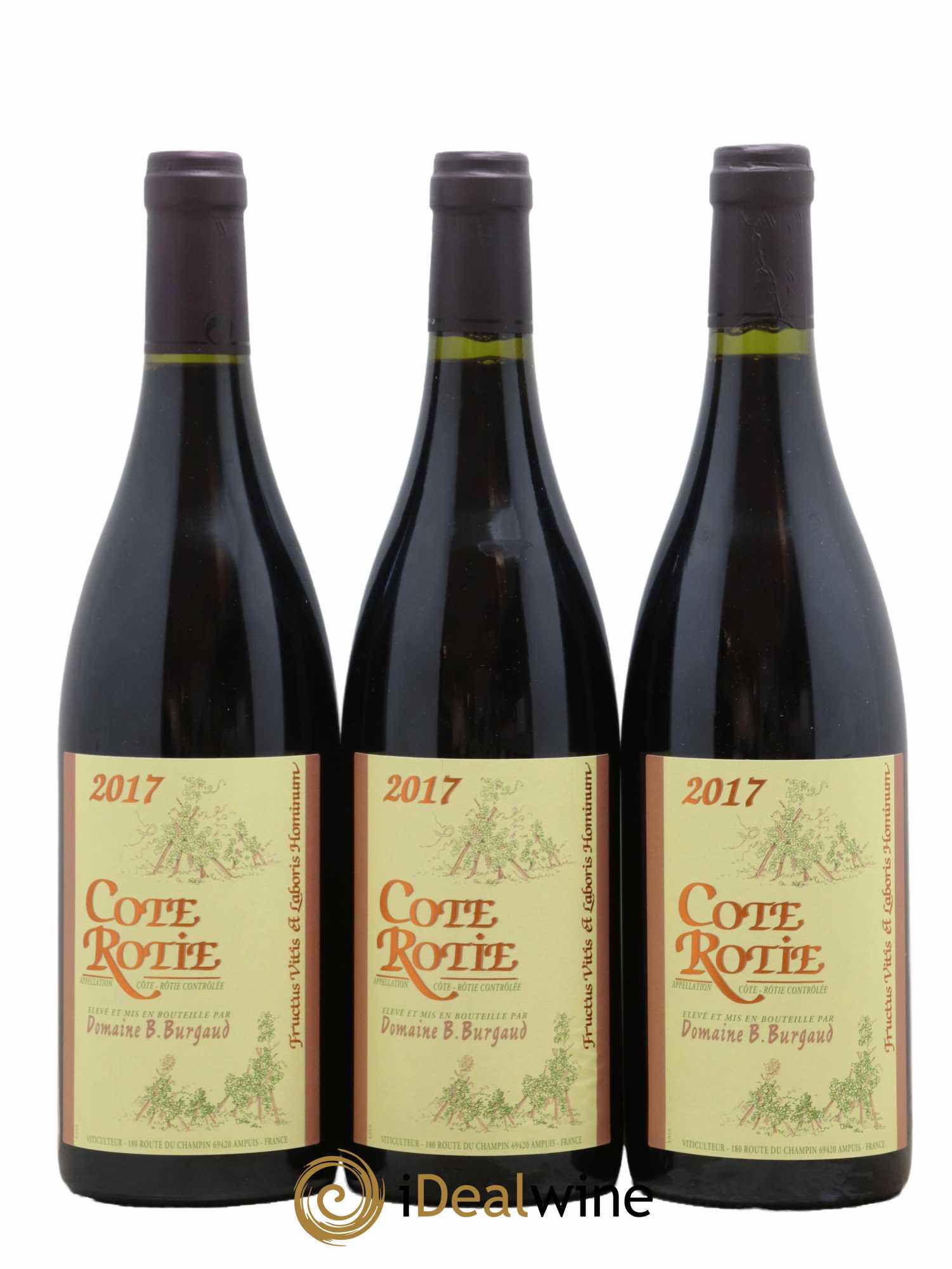 Côte-Rôtie Bernard Burgaud 2017 - Lot de 3 bouteilles - 0