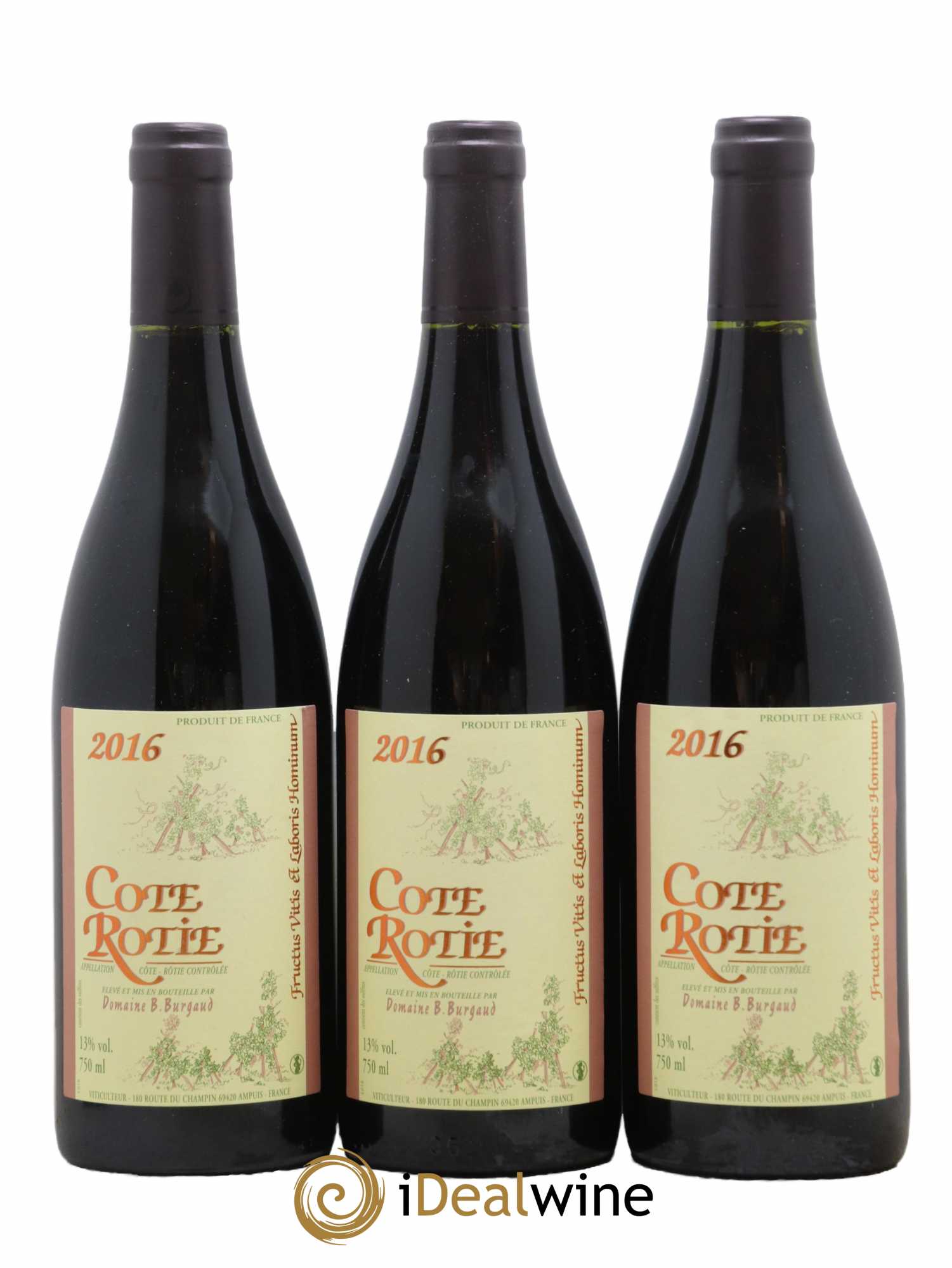 Côte-Rôtie Bernard Burgaud 2016 - Lot de 3 bouteilles - 0