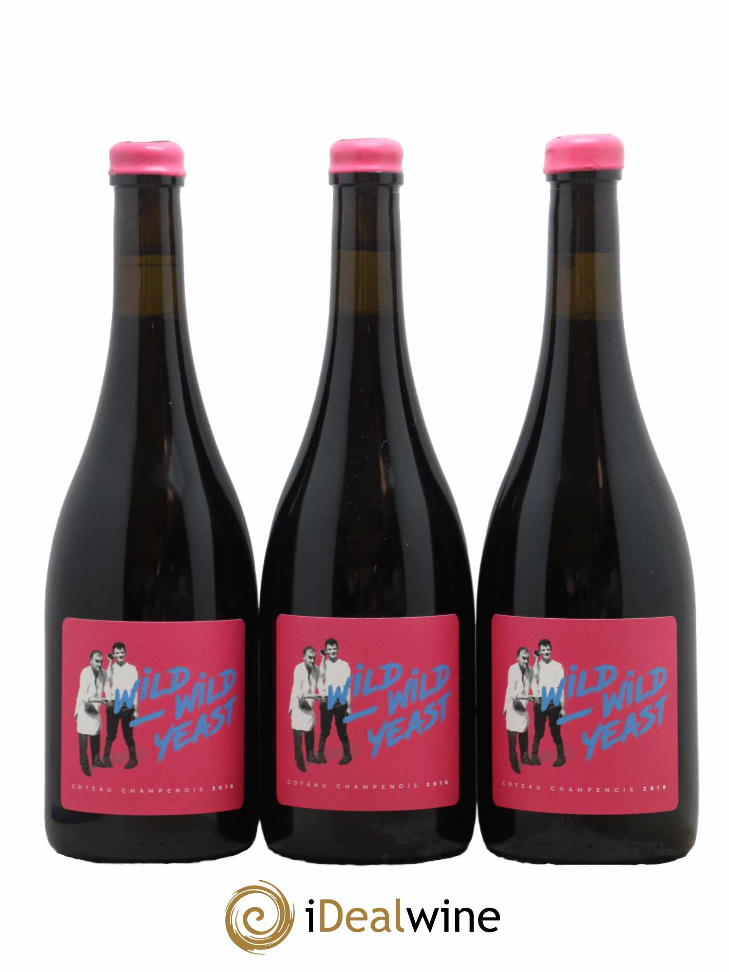 Coteaux Champenois Wild Wild Yeast Domaine Thibaud Brocard 2018 - Lot de 3 bouteilles - 0