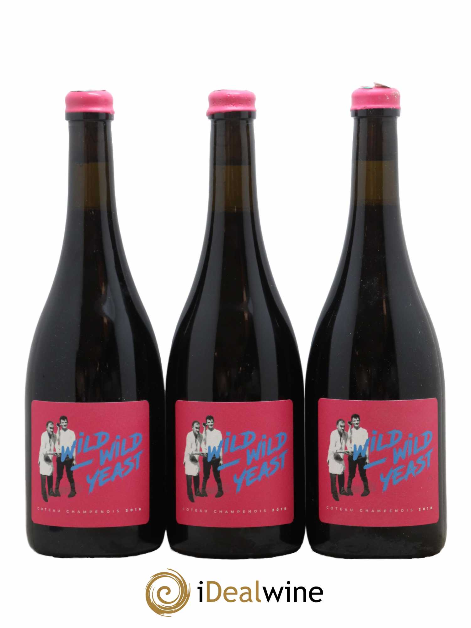 Coteaux Champenois Wild Wild Yeast Domaine Thibaud Brocard 2018 - Lot de 3 bouteilles - 0