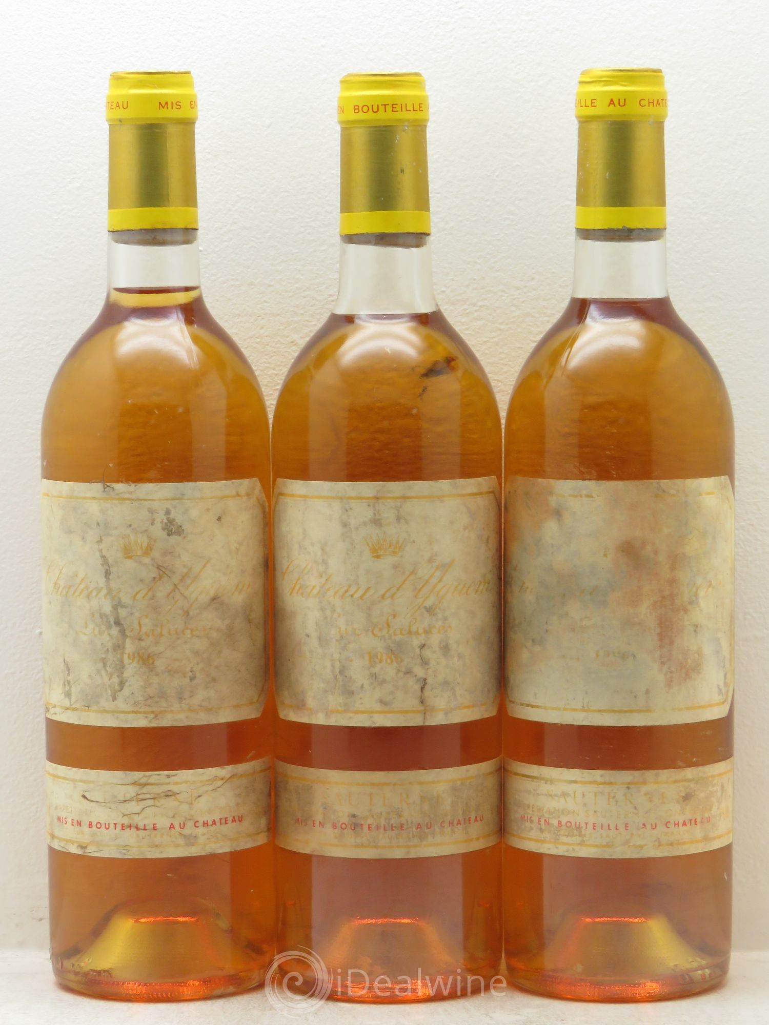 Château d' Yquem 1er Cru Classé Supérieur 1986 - Lotto di 6 bottiglie - 2