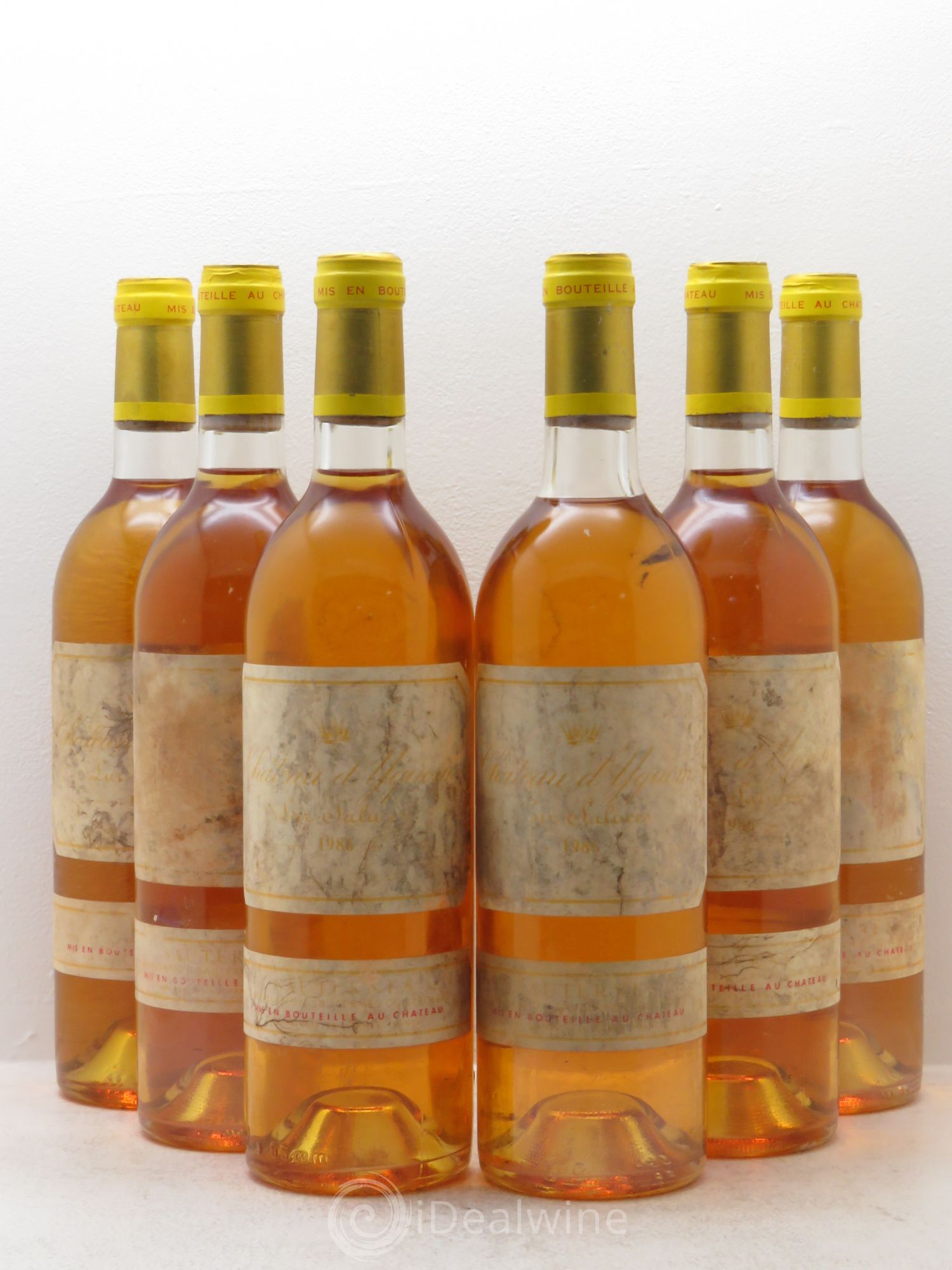 Château d' Yquem 1er Cru Classé Supérieur 1986 - Lotto di 6 bottiglie - 0
