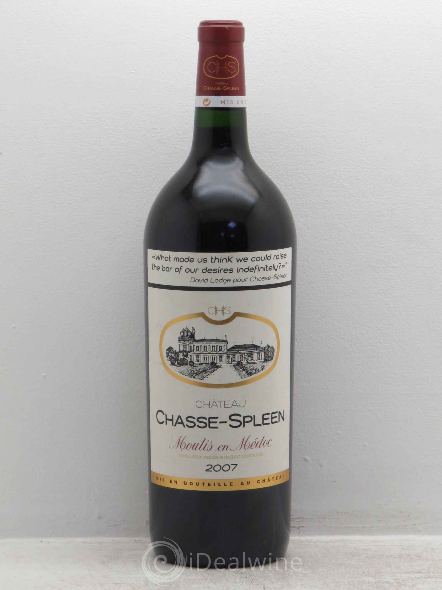 Château Chasse Spleen 2007 - Lot de 1 magnum - 0