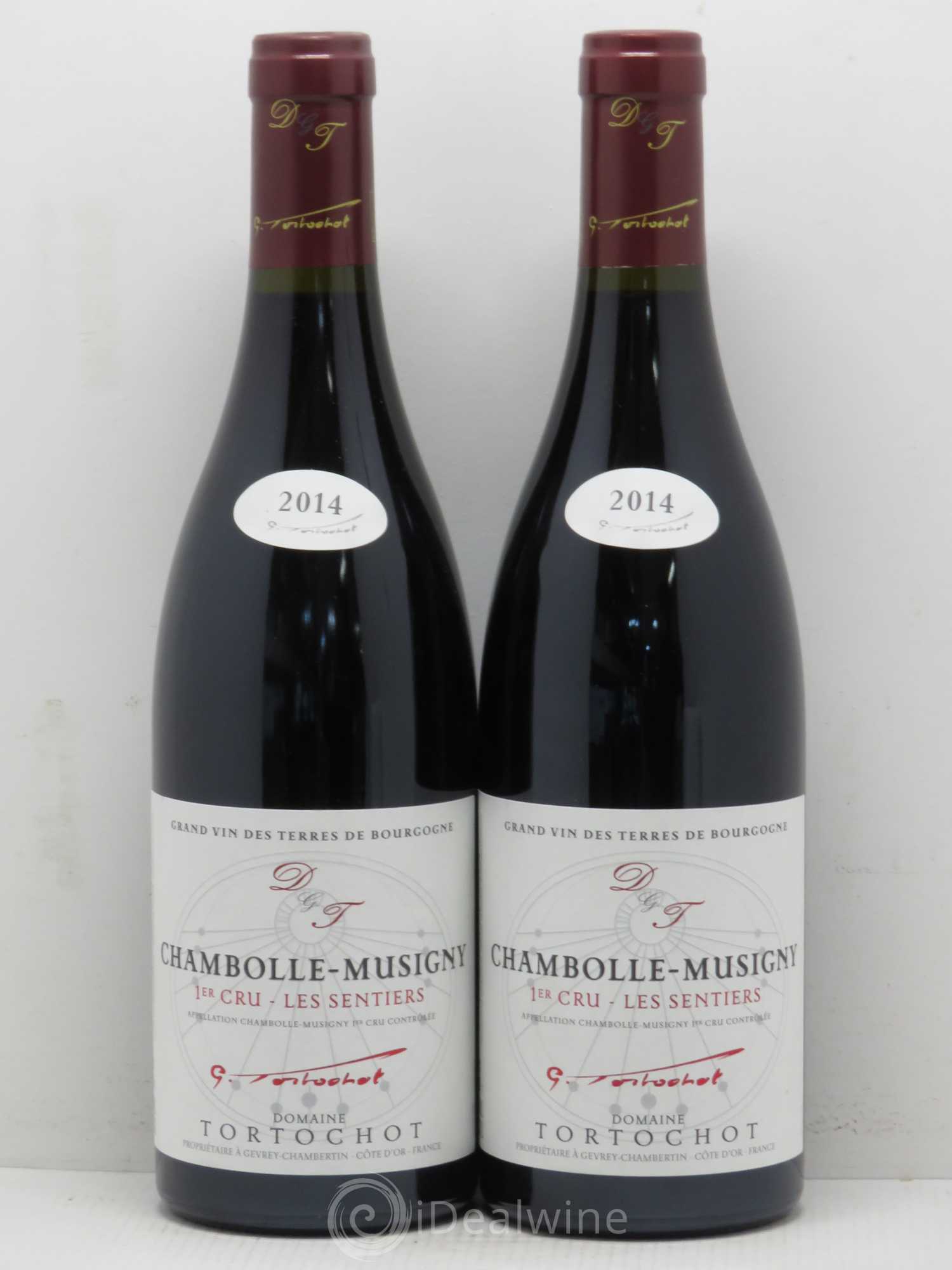 Chambolle-Musigny 1er Cru Les Sentiers Domaine Tortochot (sans prix de réserve) 2014 - Posten von 2 Flaschen - 0