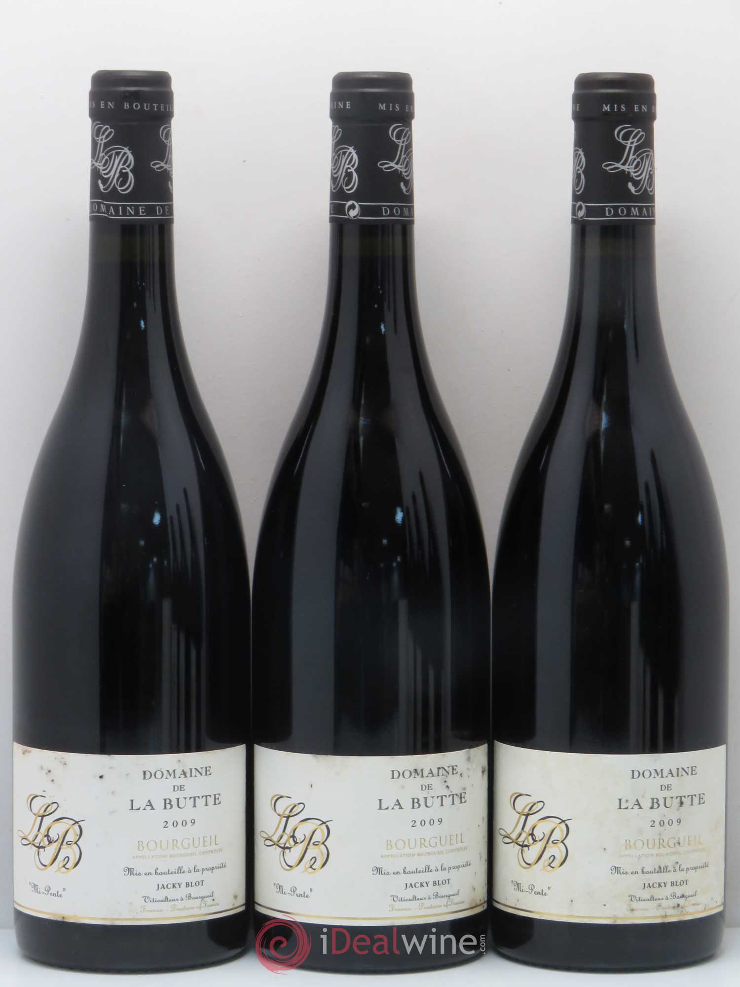 Bourgueil Mi-Pente Domaine de La Butte - Jacky Blot 2009 - Lot de 6 bouteilles - 1