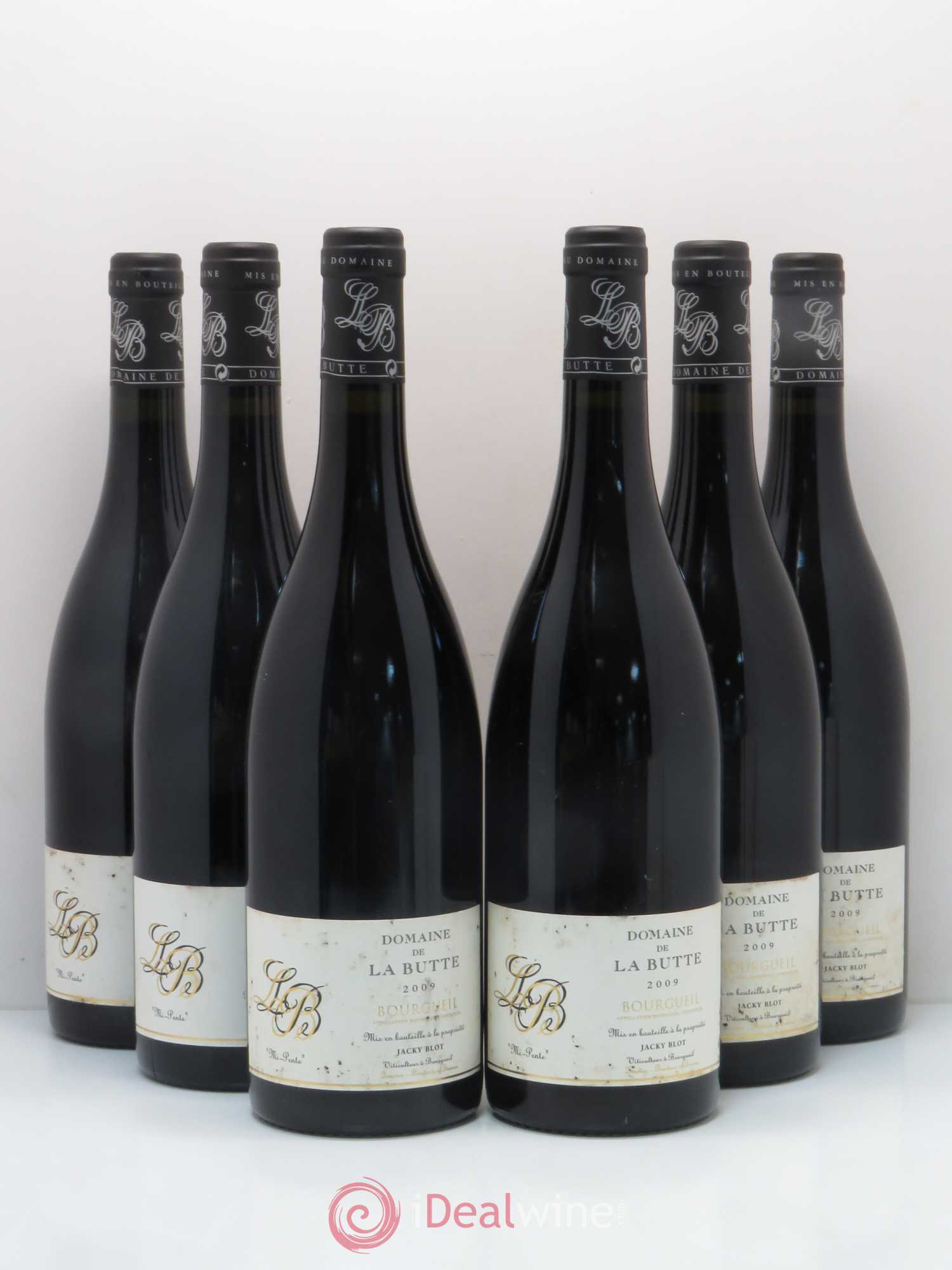 Bourgueil Mi-Pente Domaine de La Butte - Jacky Blot 2009 - Lot de 6 bouteilles - 0