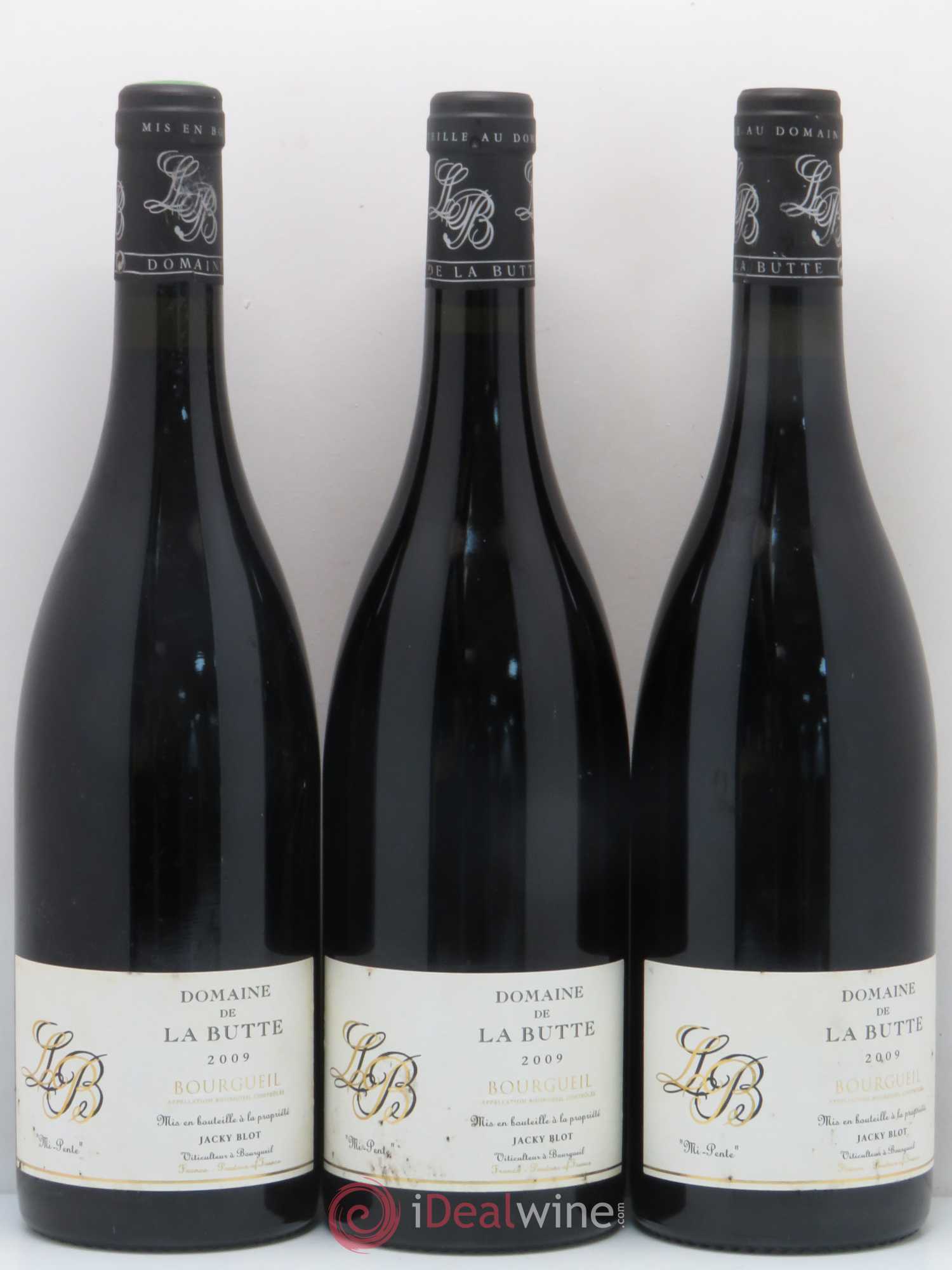 Bourgueil Mi-Pente Domaine de La Butte - Jacky Blot 2009 - Lot de 6 bouteilles - 2