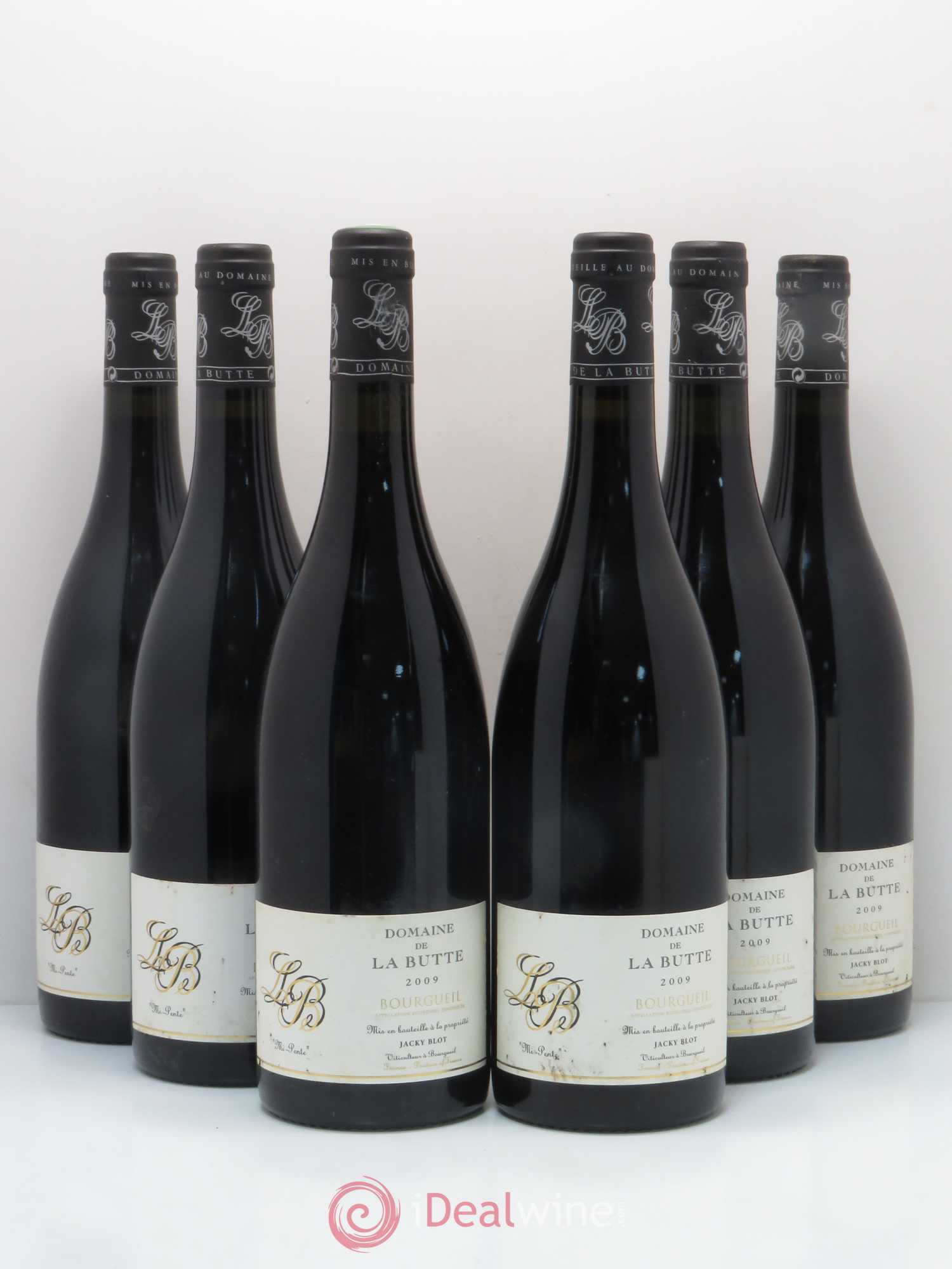 Bourgueil Mi-Pente Domaine de La Butte - Jacky Blot 2009 - Lot de 6 bouteilles - 0