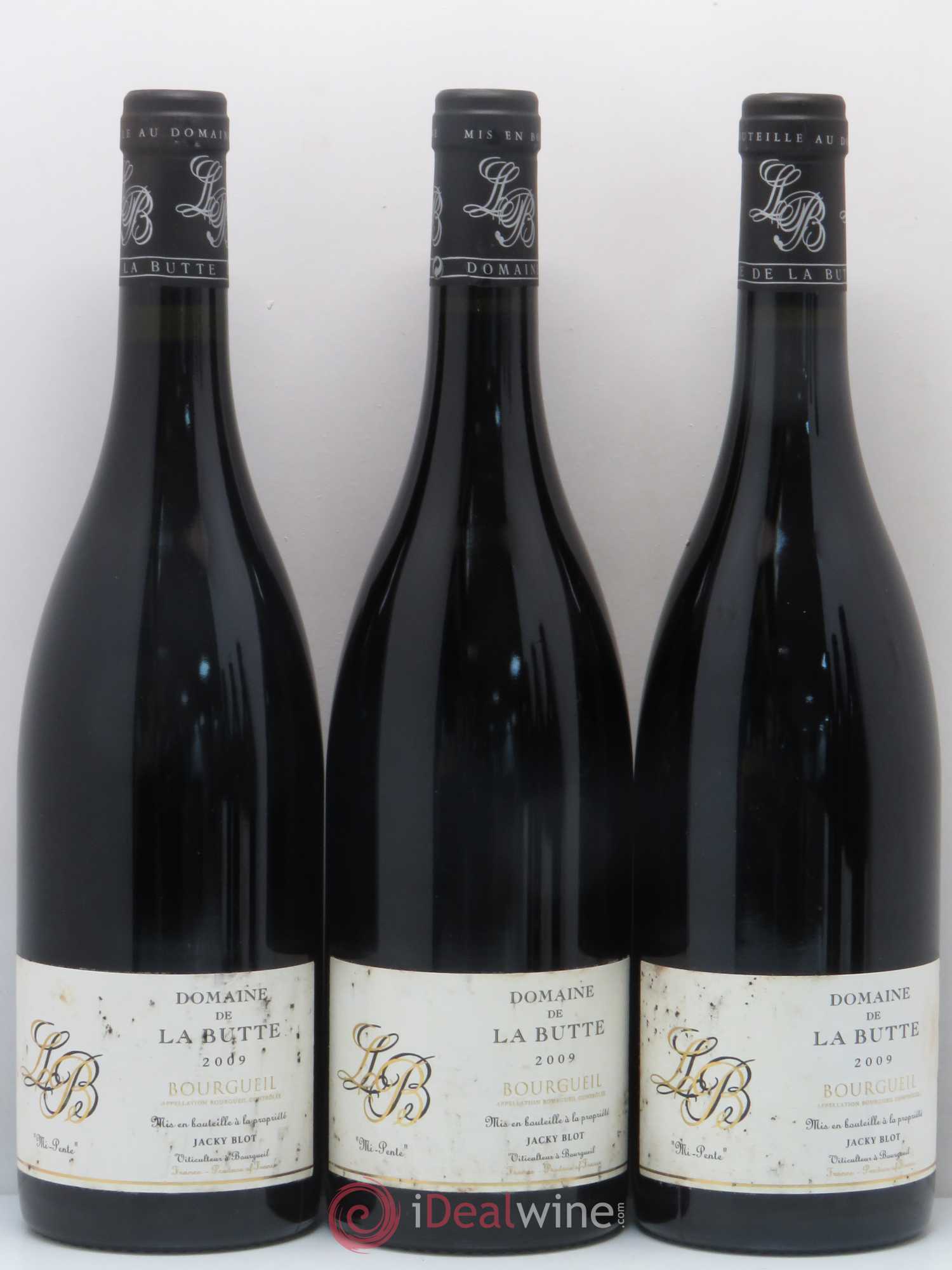 Bourgueil Mi-Pente Domaine de La Butte - Jacky Blot 2009 - Lot de 6 bouteilles - 1
