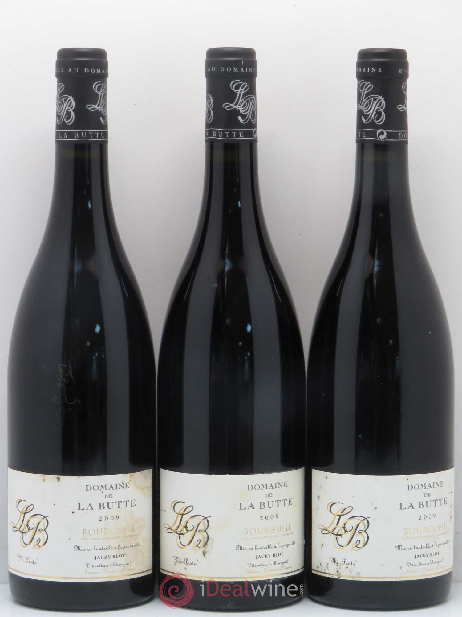 Bourgueil Mi-Pente Domaine de La Butte - Jacky Blot 2009 - Lot de 6 bouteilles - 2