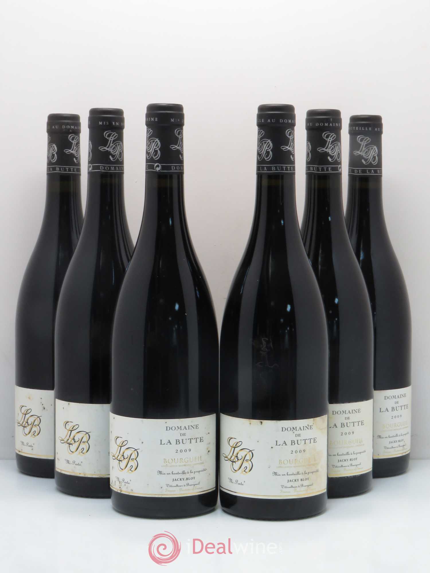 Bourgueil Mi-Pente Domaine de La Butte - Jacky Blot 2009 - Lot de 6 bouteilles - 0