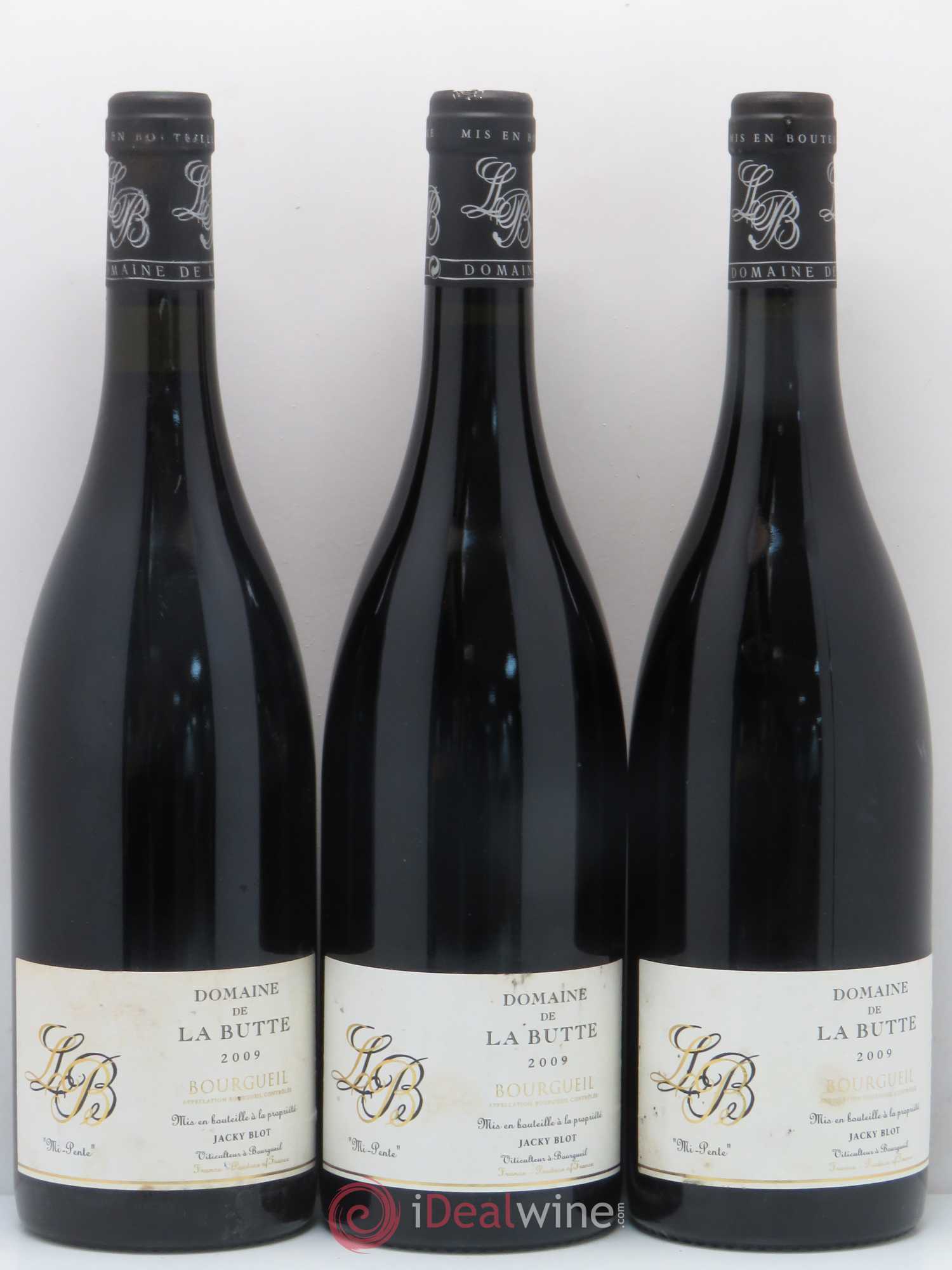 Bourgueil Mi-Pente Domaine de La Butte - Jacky Blot 2009 - Lot de 3 bouteilles - 0