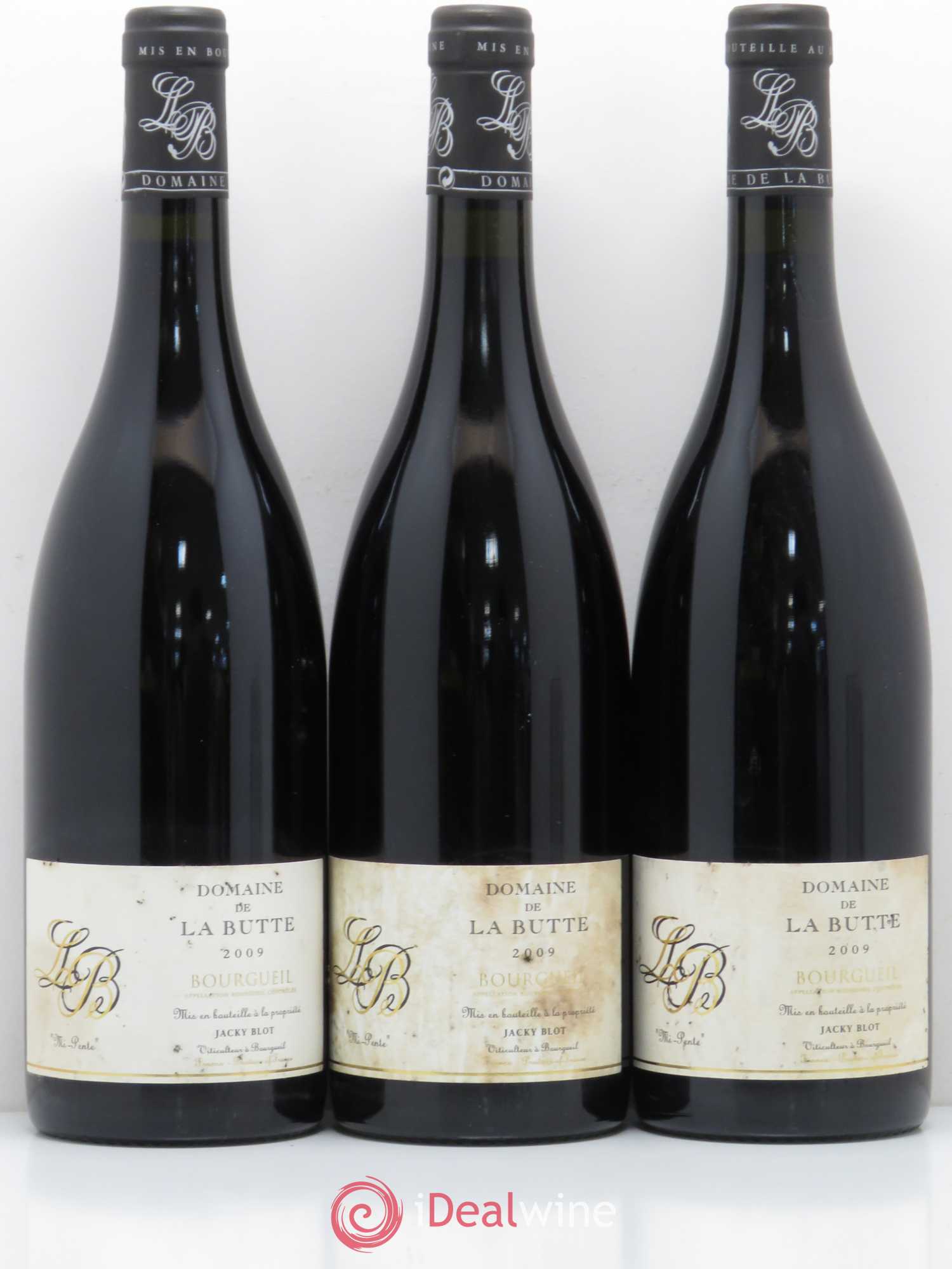 Bourgueil Mi-Pente Domaine de La Butte - Jacky Blot 2009 - Lot de 6 bouteilles - 1